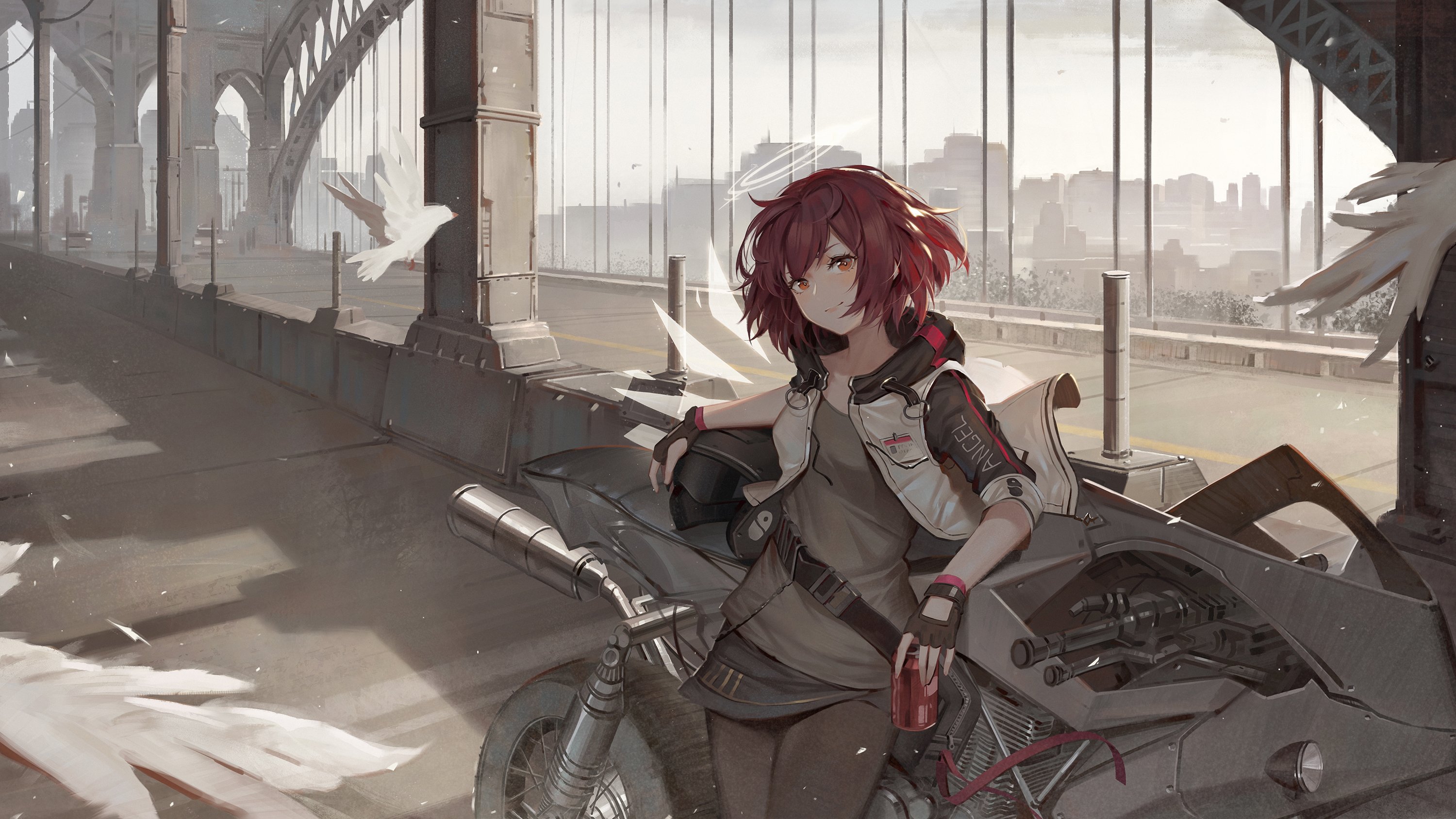 少女 机甲  方舟