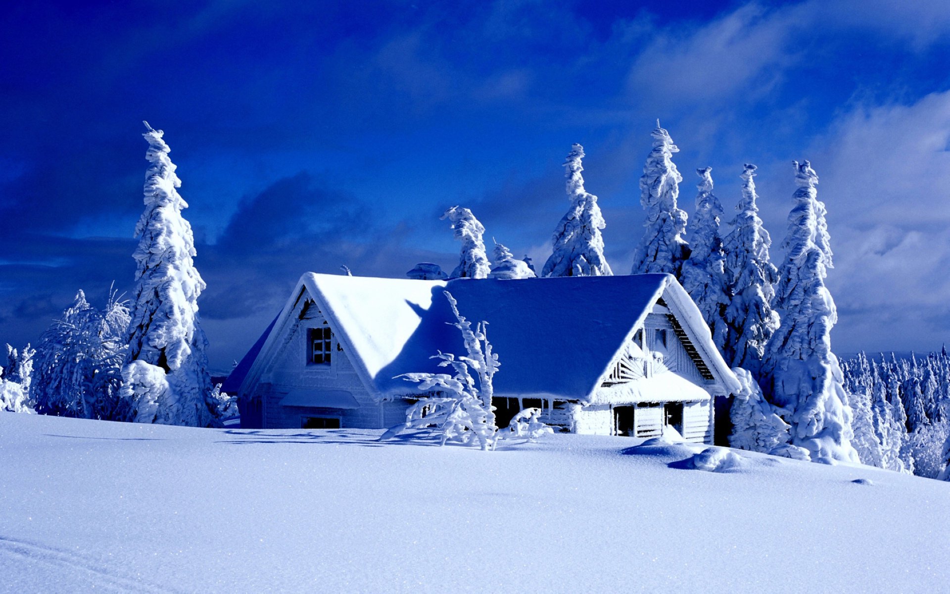 冰天雪地 小屋