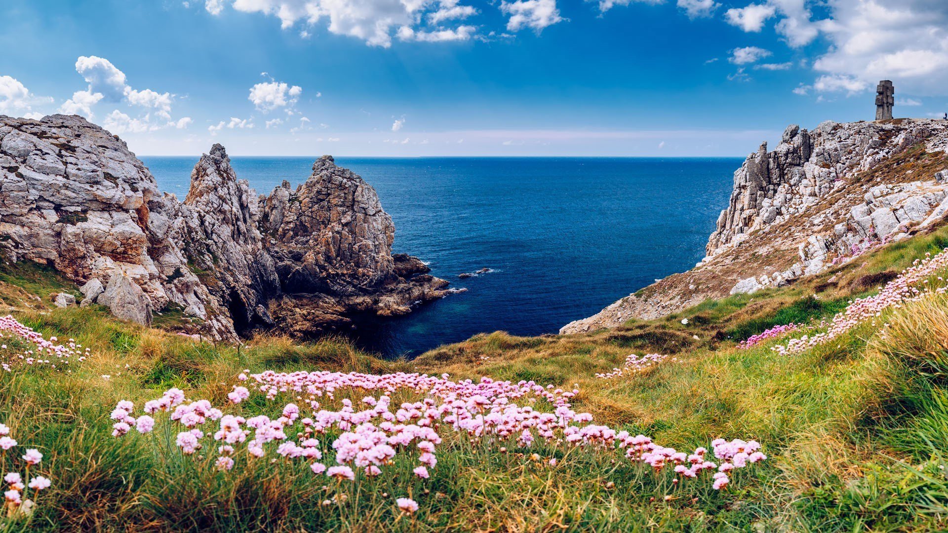 海洋天堂 野花 价灯塔 海岸