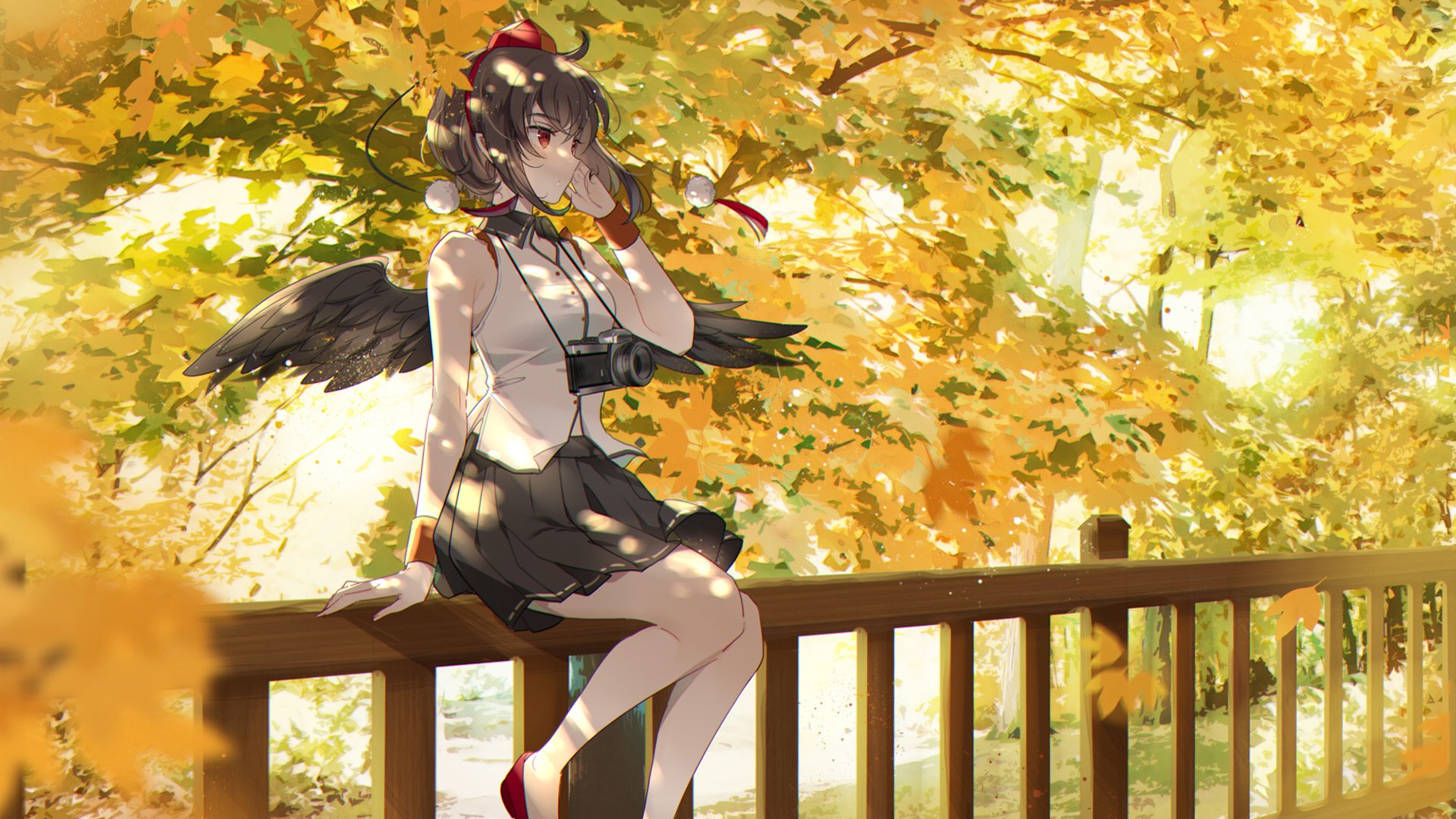 深秋 照相机 公园一角 黄叶