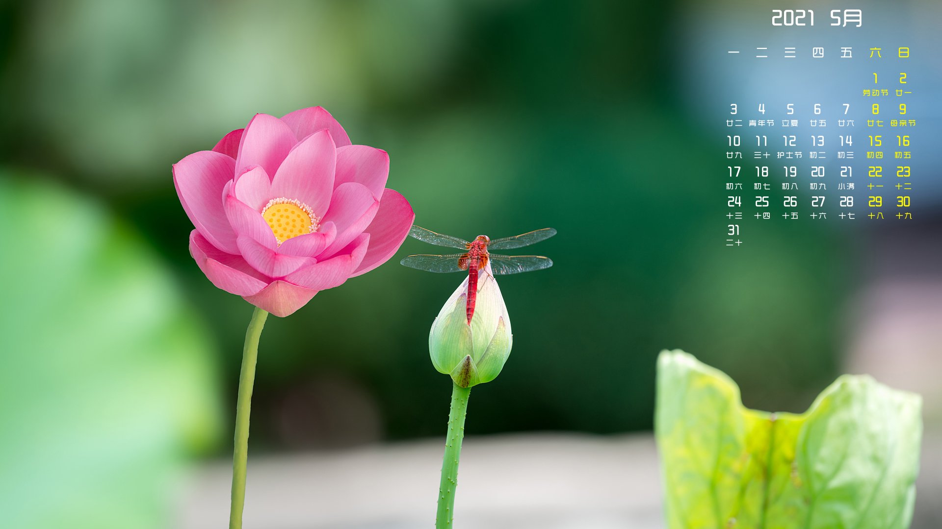 月历壁纸  5月