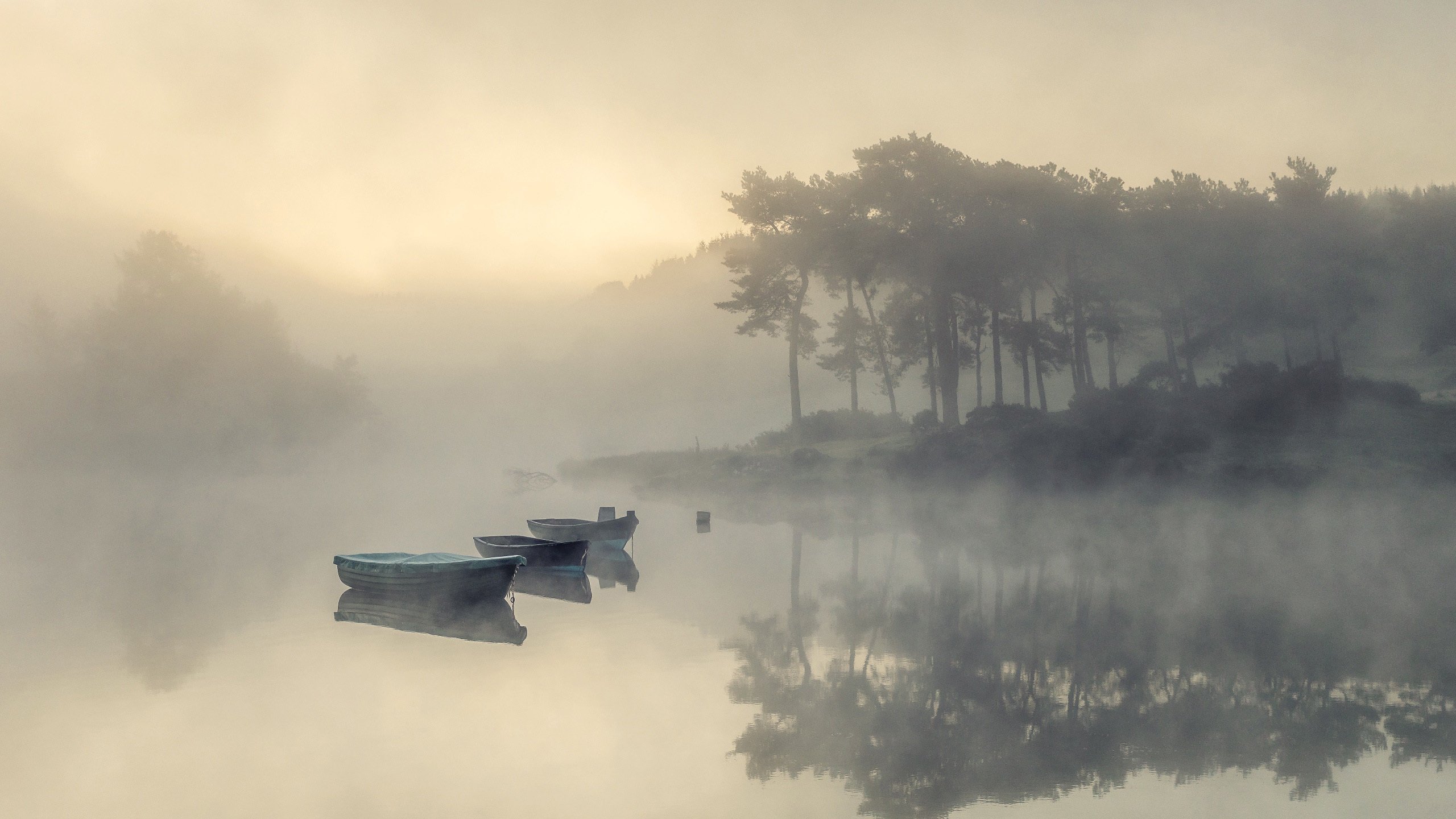 自然风光 迷雾 小船 倒影