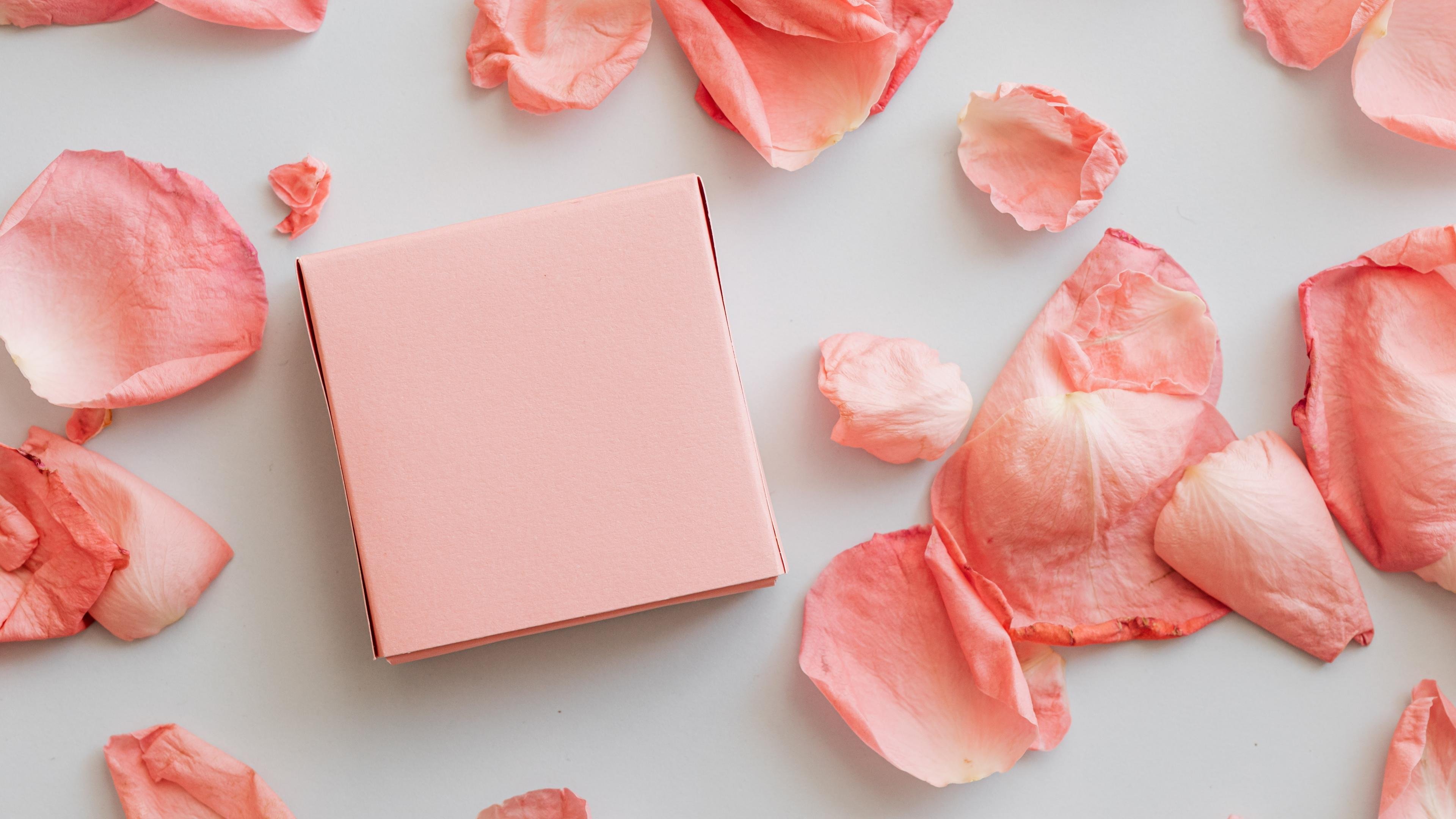 爱情  恋爱  玫瑰  粉色  浪漫