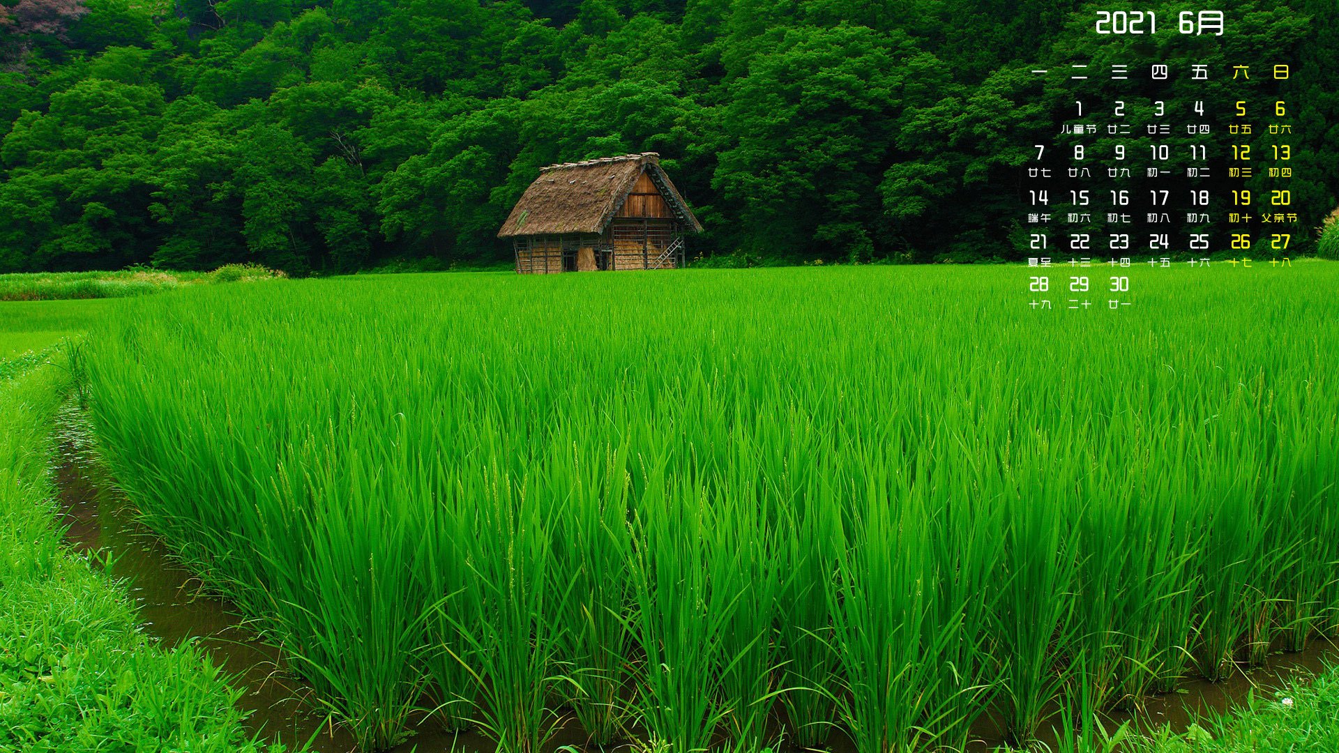 月历壁纸 6月