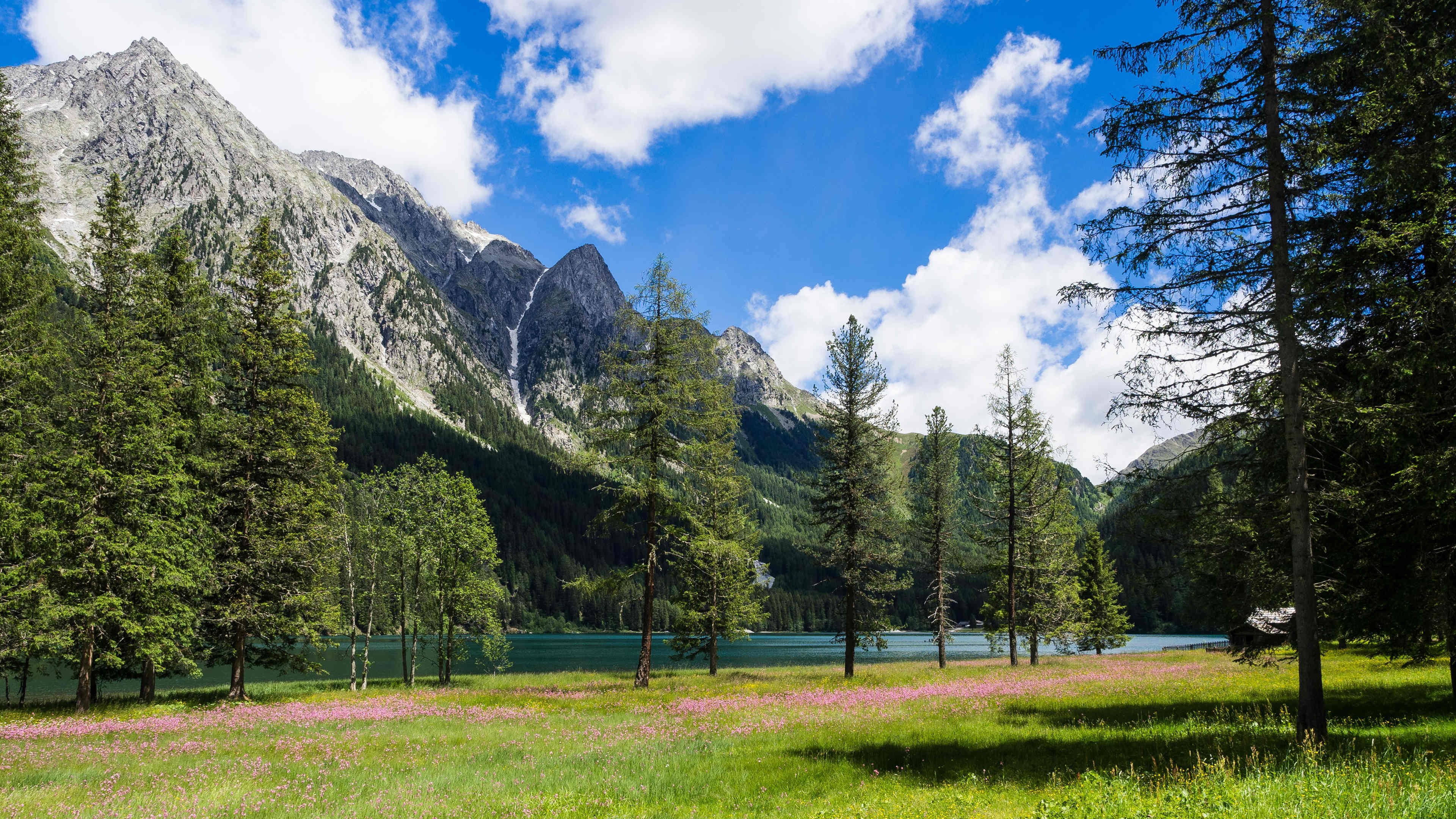 炎炎夏日 小溪 草坪 山峰
