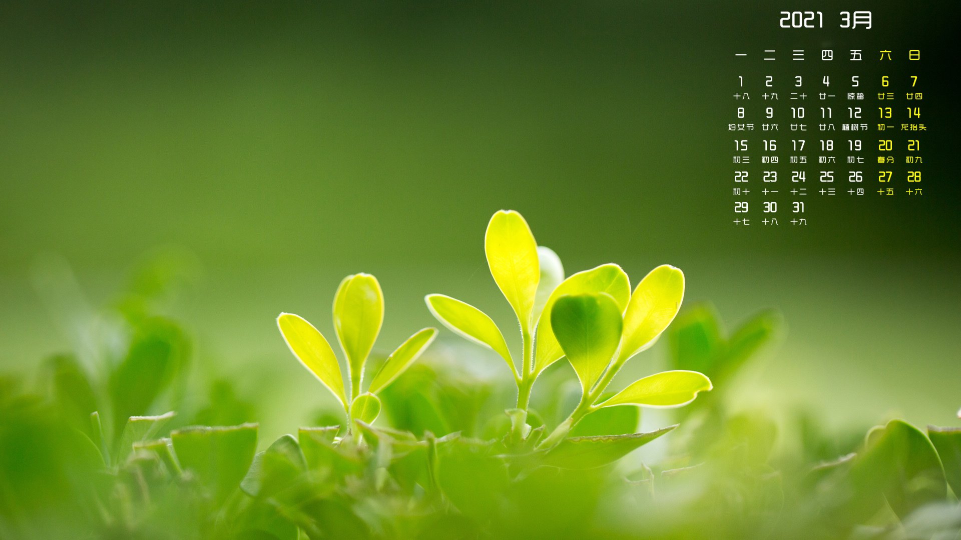 2021年  3月