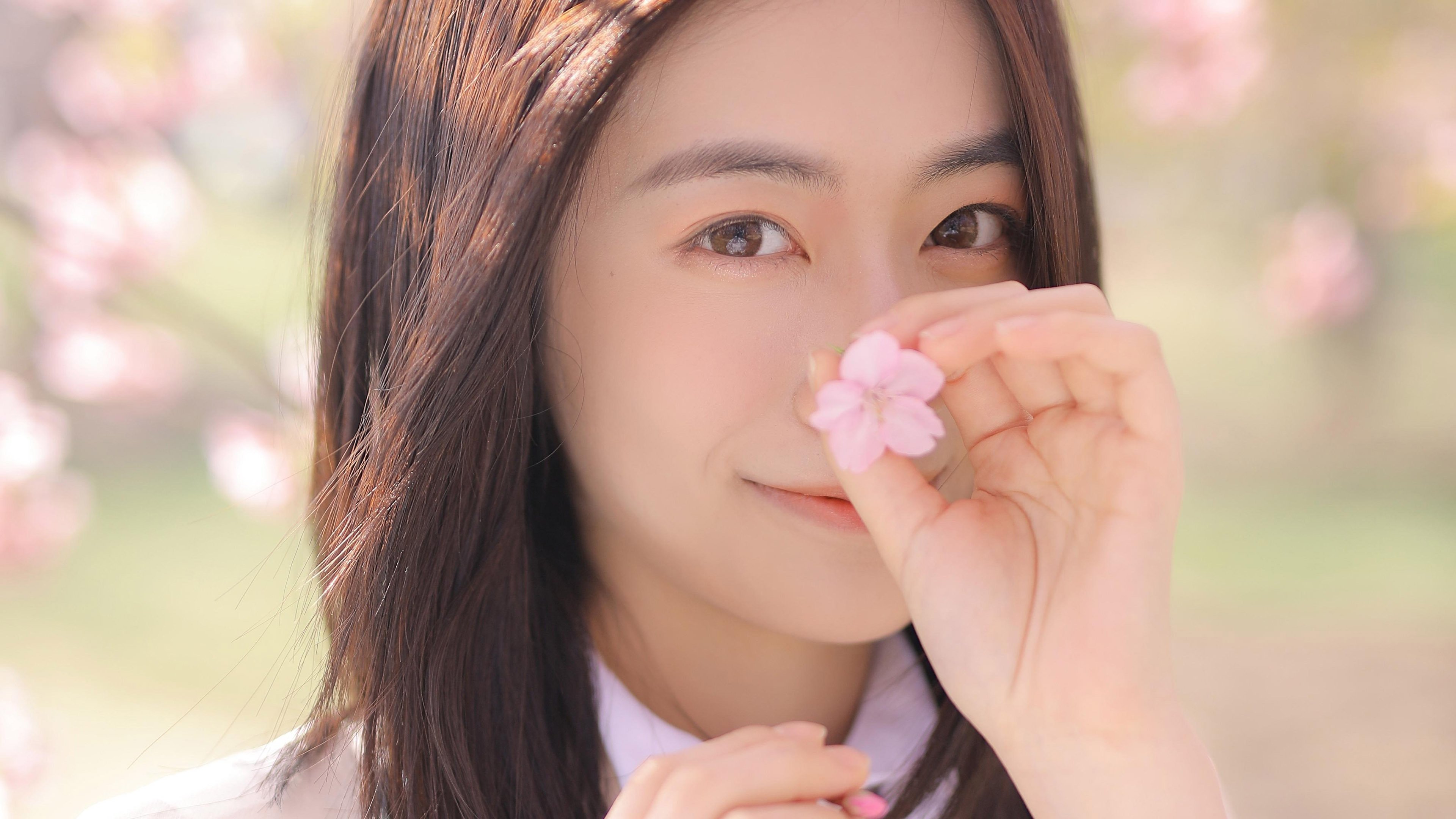 清纯   文艺  樱花   清纯