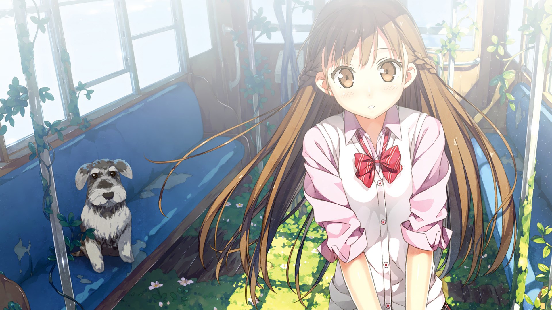 大眼睛女孩 蝴蝶结 列车