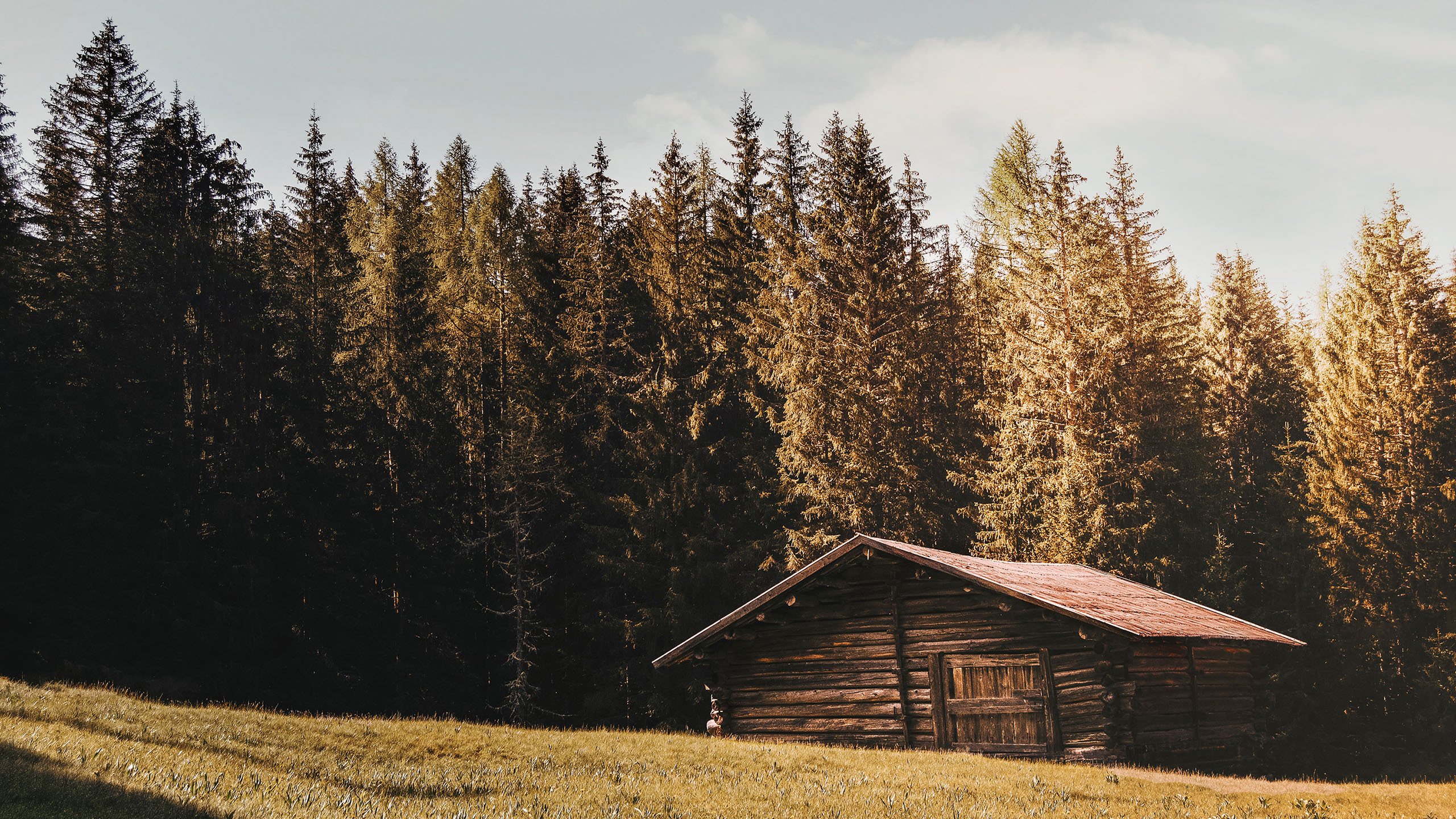 秋意正浓 树林 小木屋 林场