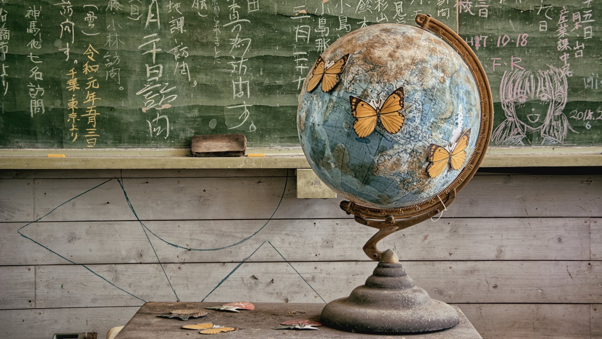 教室 蝴蝶 地球仪