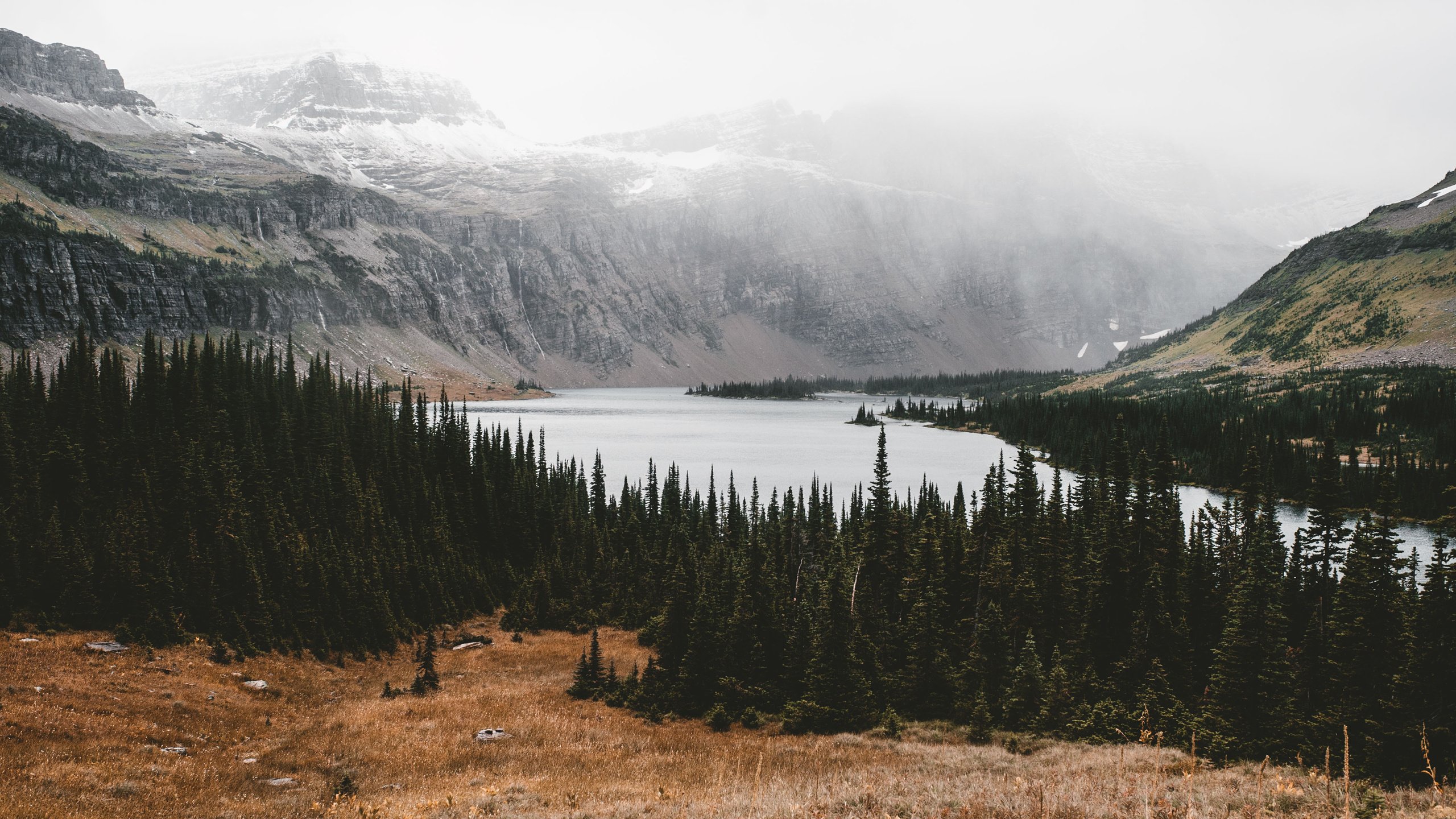 自然风光 树林 山谷 雪山