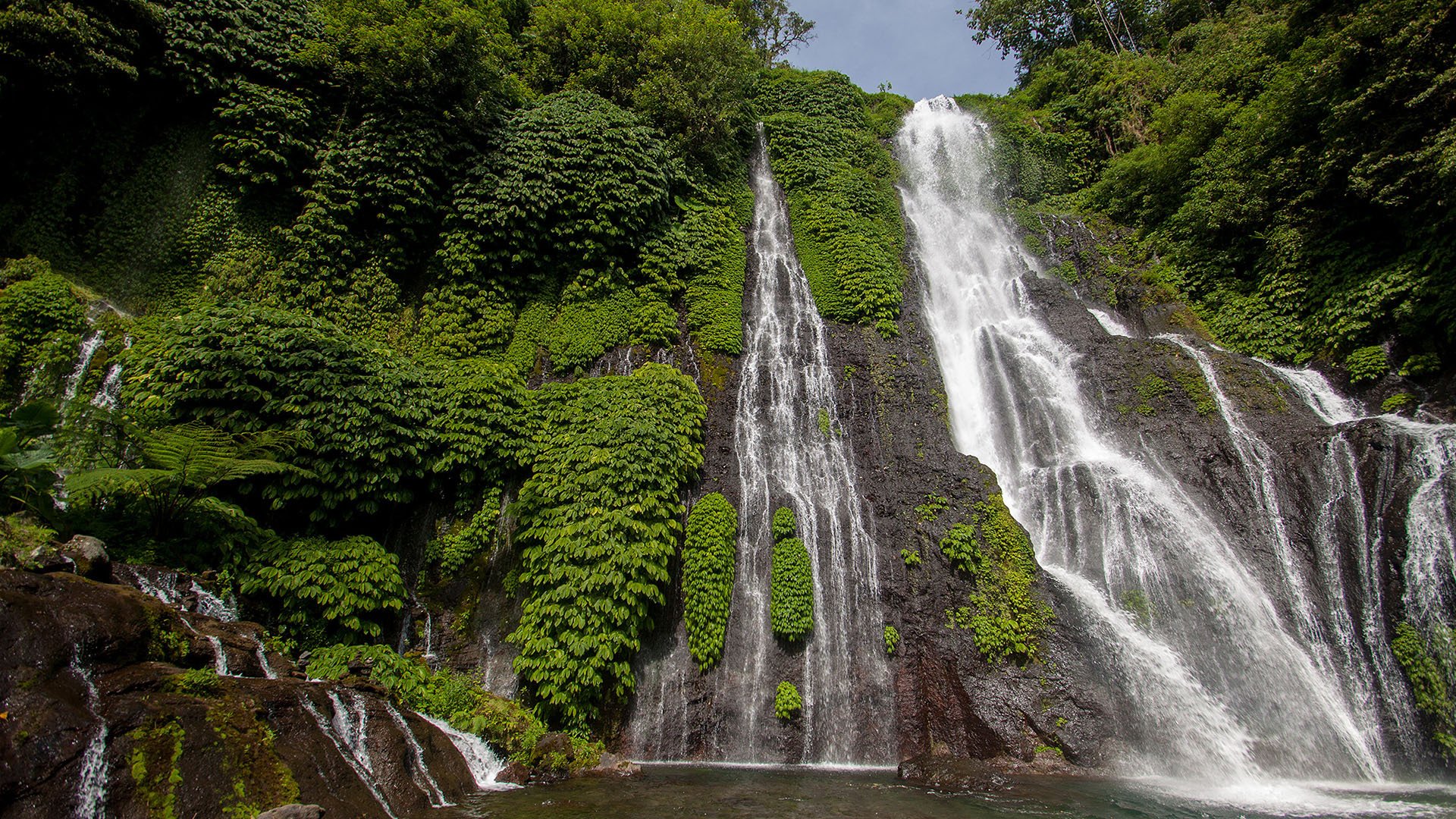 自然风光 瀑布 夏天 丛林