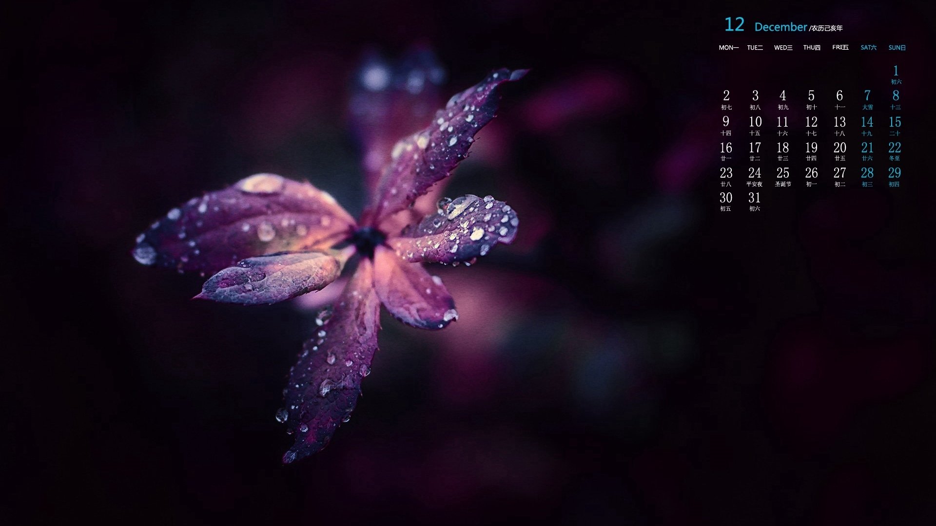 月历 2019年12月 日历