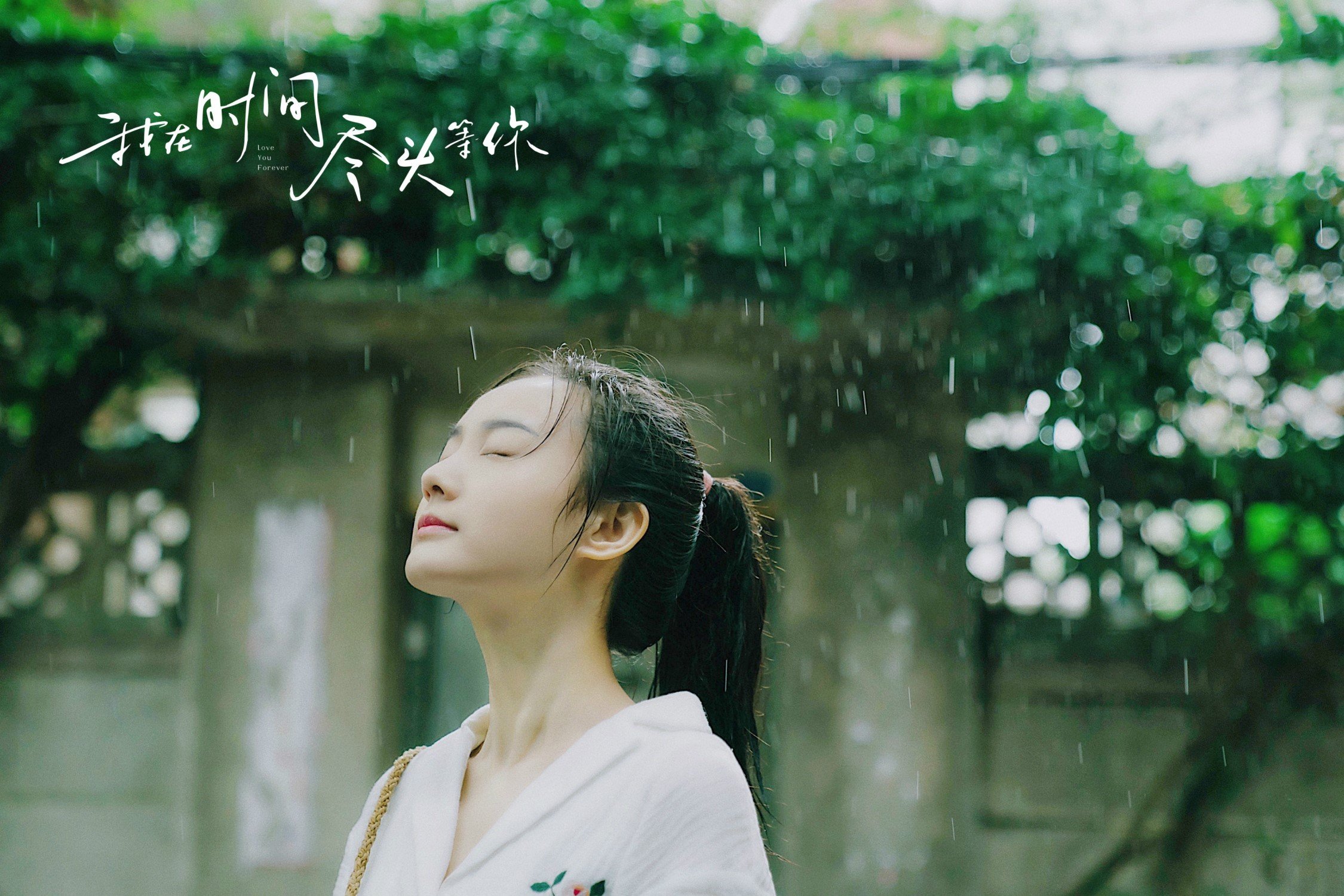 我在时间尽头等你  李鸿其  李一桐