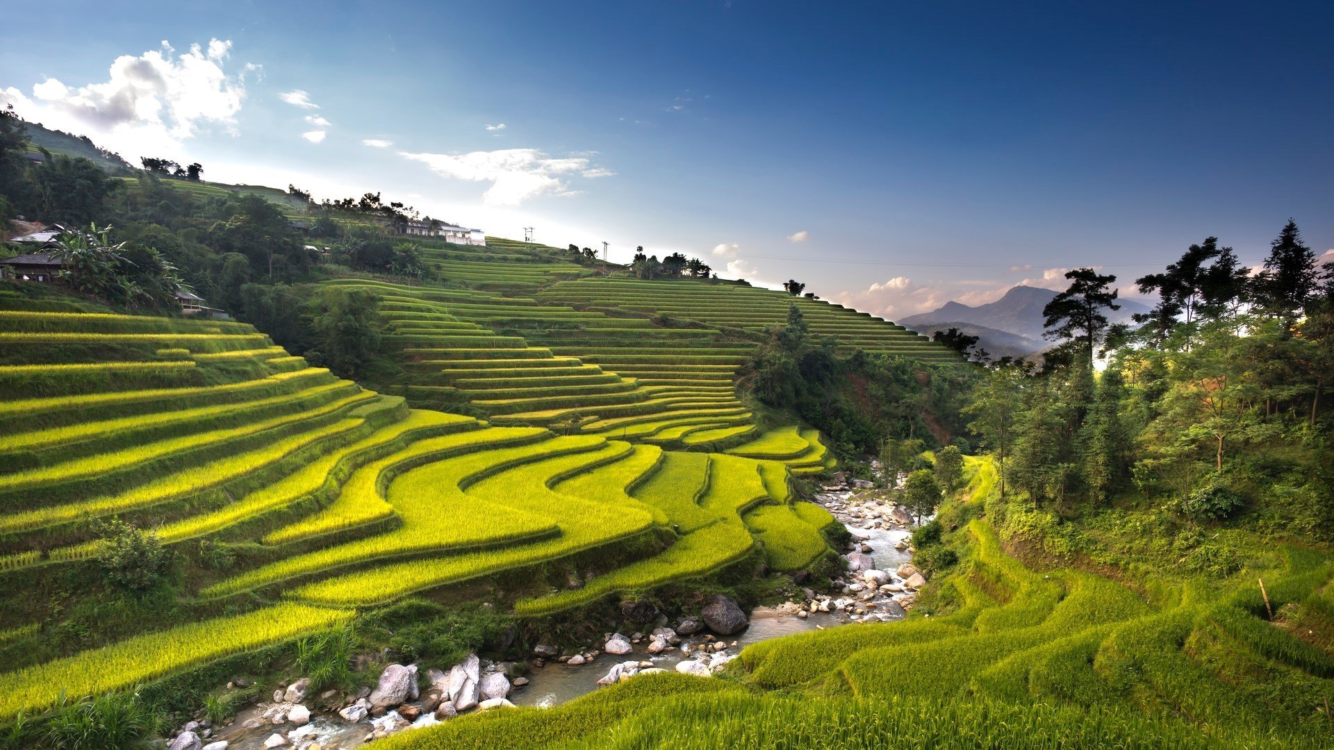 炎炎夏日 小溪 梯田 碧绿 蓝天