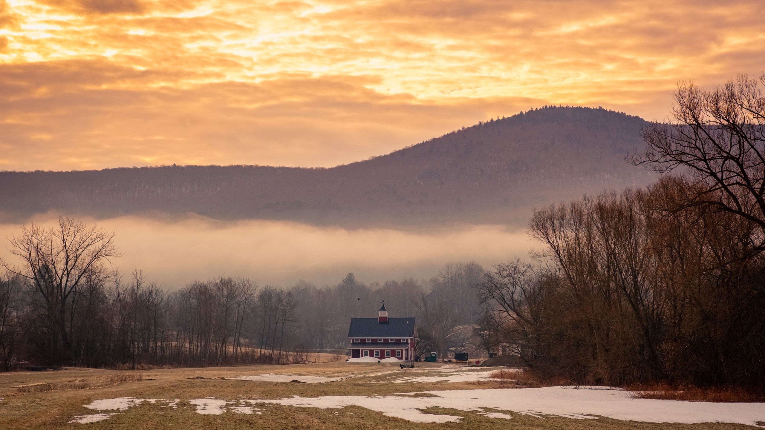 秋意正浓 晚霞 高原 树林