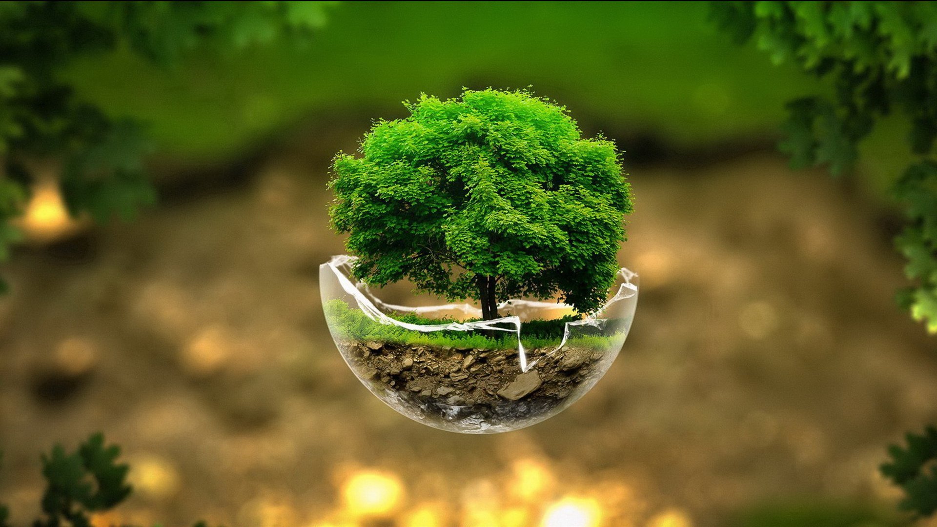 大自然 环保 呼唤