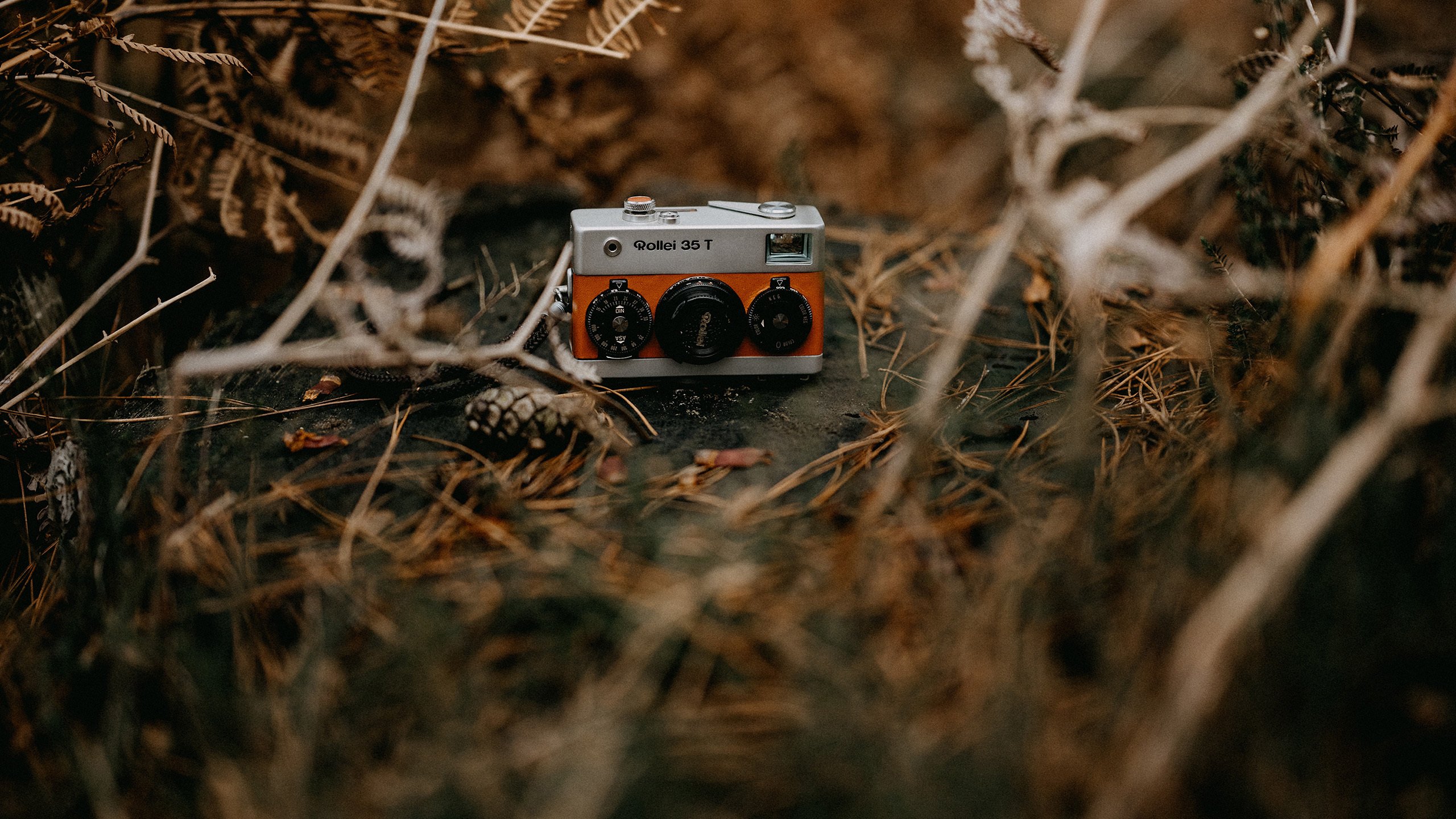 静物写真 照相机 草丛间