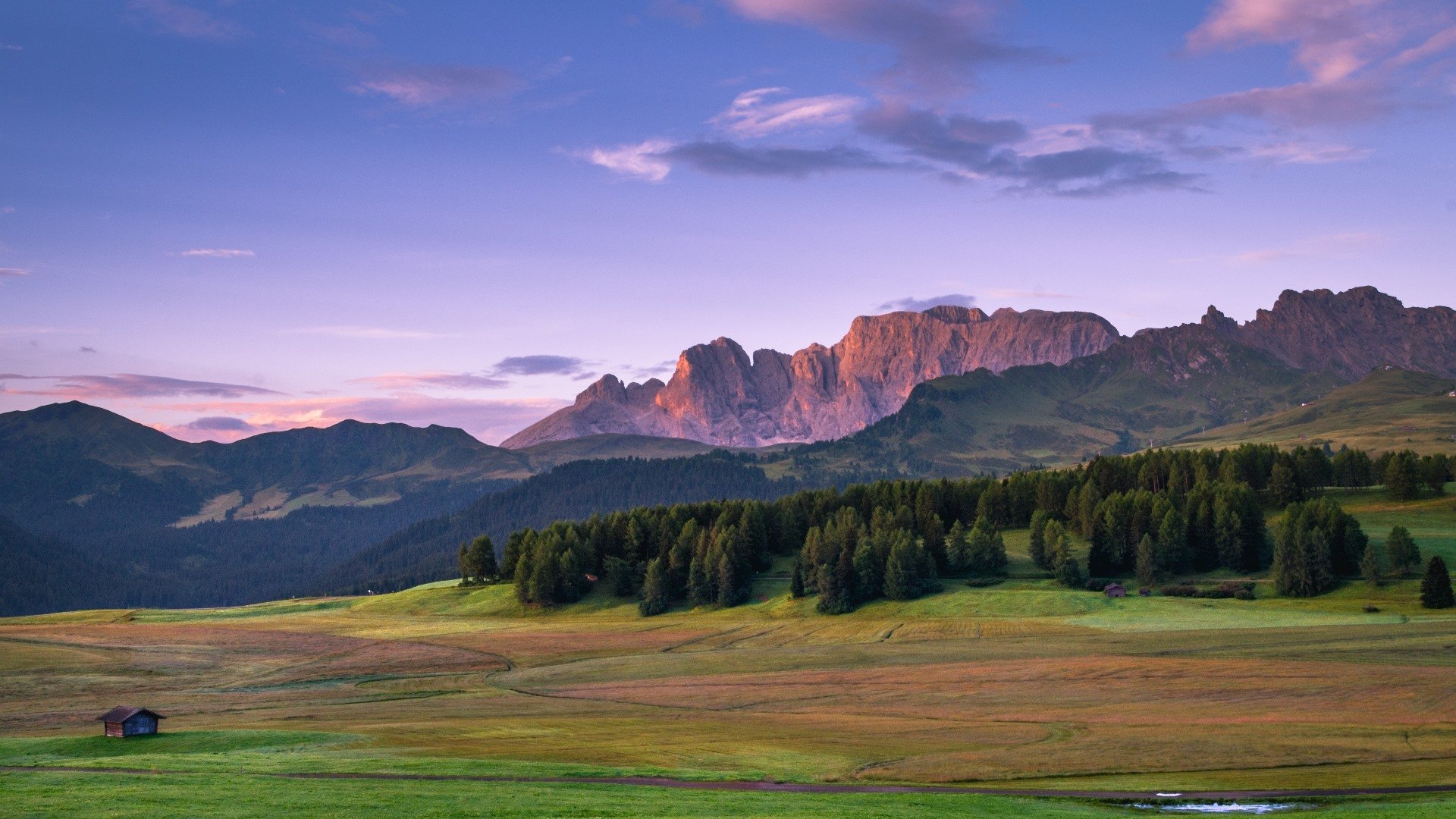自然风光 高原 草原 树林