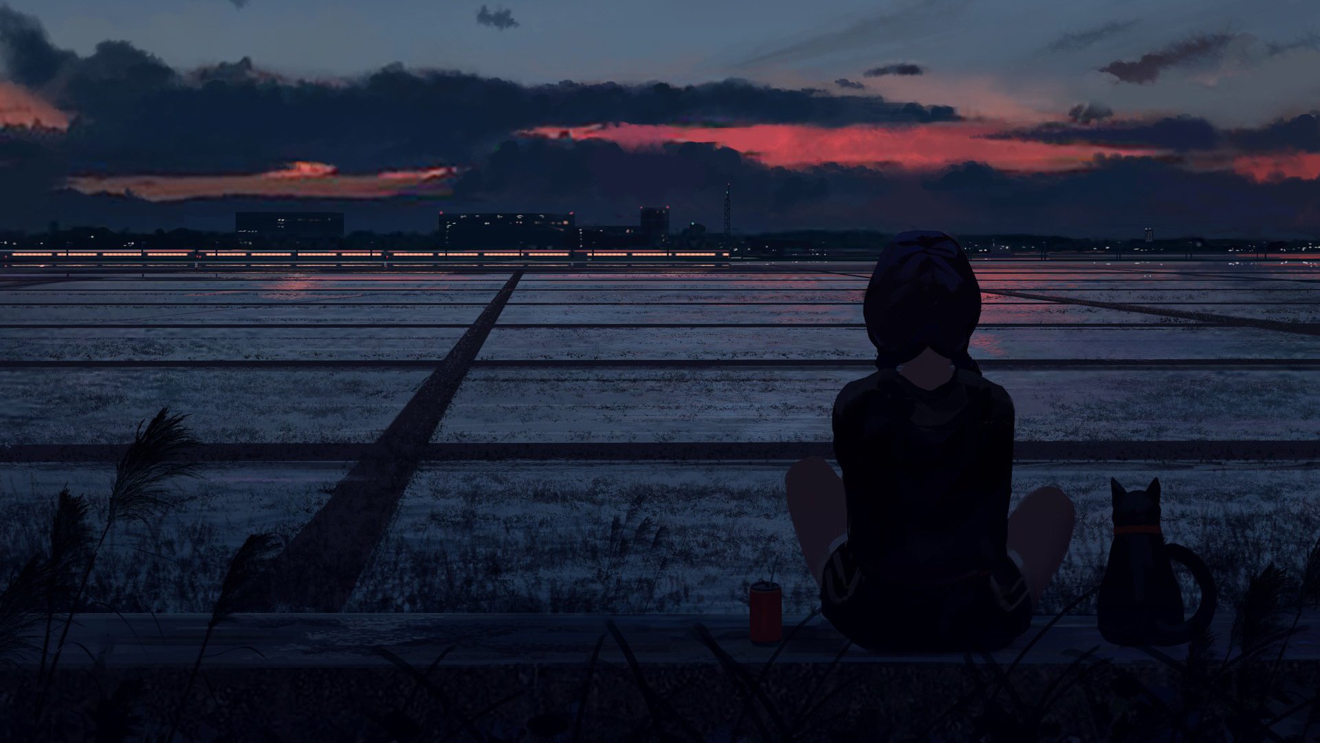 落日 猫咪 田野 红霞 背景