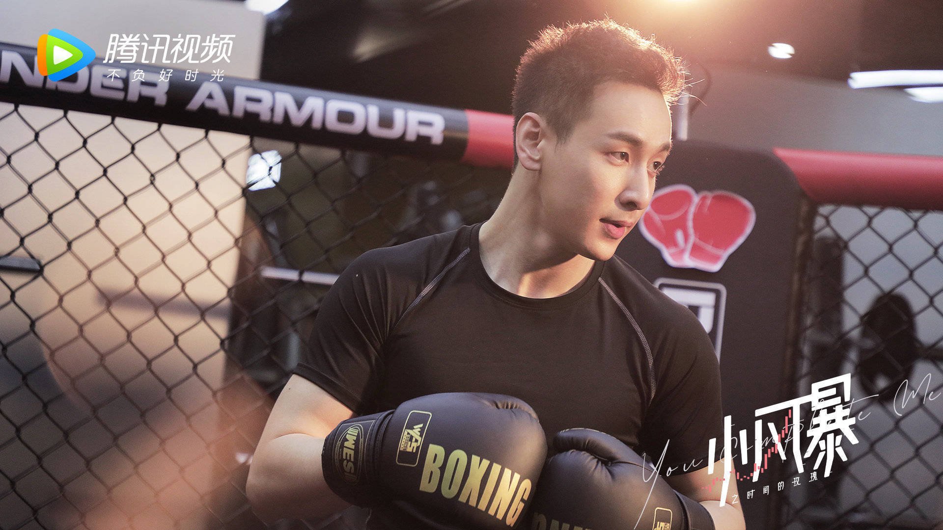 小风暴之时间的玫瑰  胡一天  乔欣