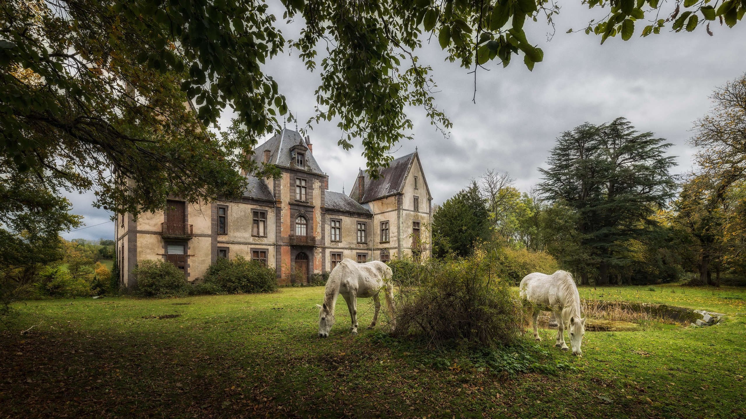 庄园 城堡 白马 草地 阴天