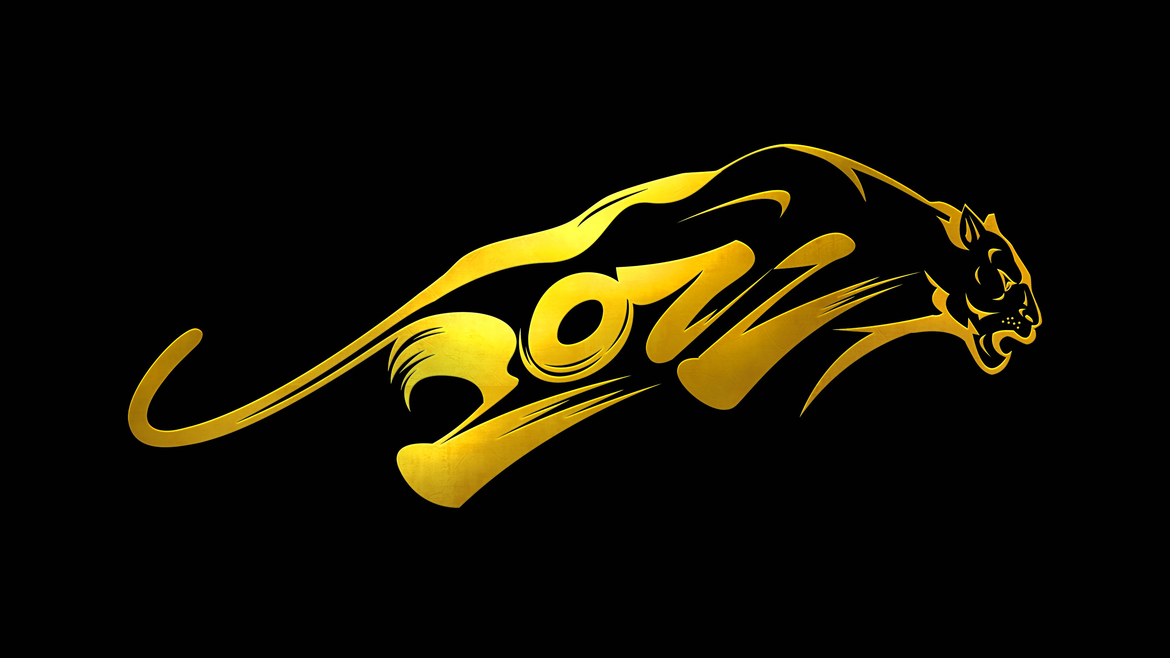 2022 新年 老虎 创意