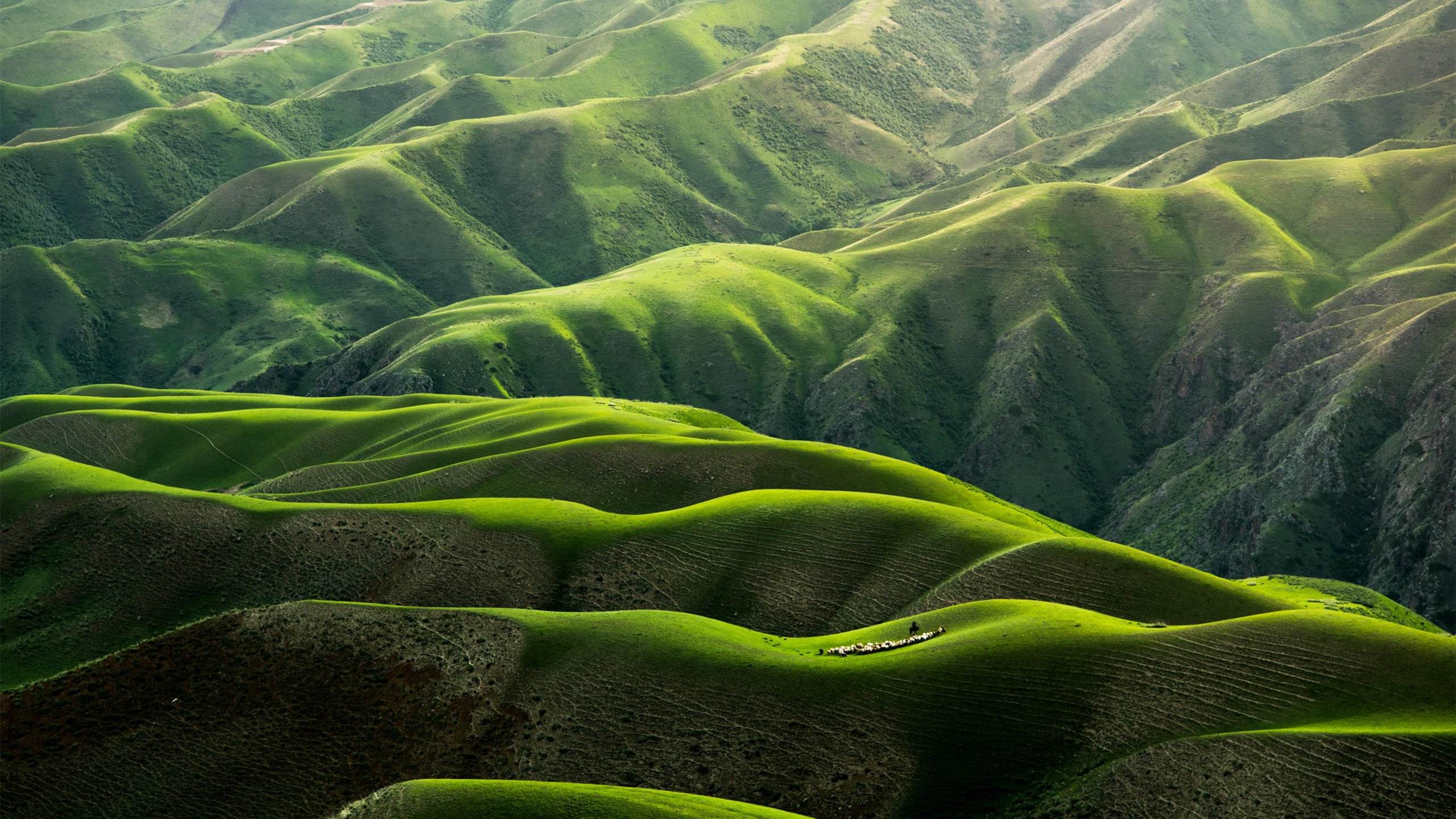 自然风光 丘陵 山坡 绿色 山脉