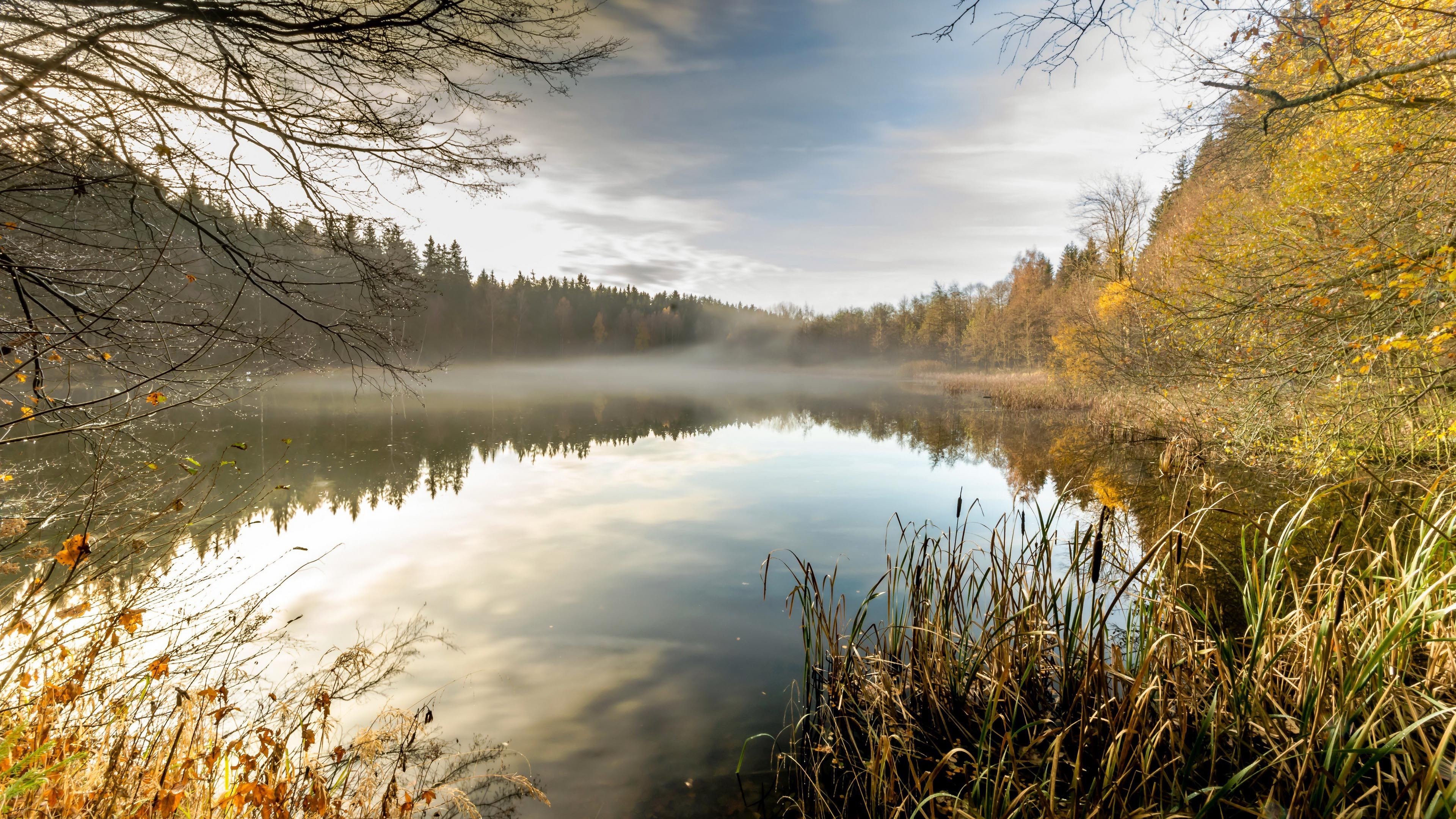 秋意正浓 湖 倒影 黄叶