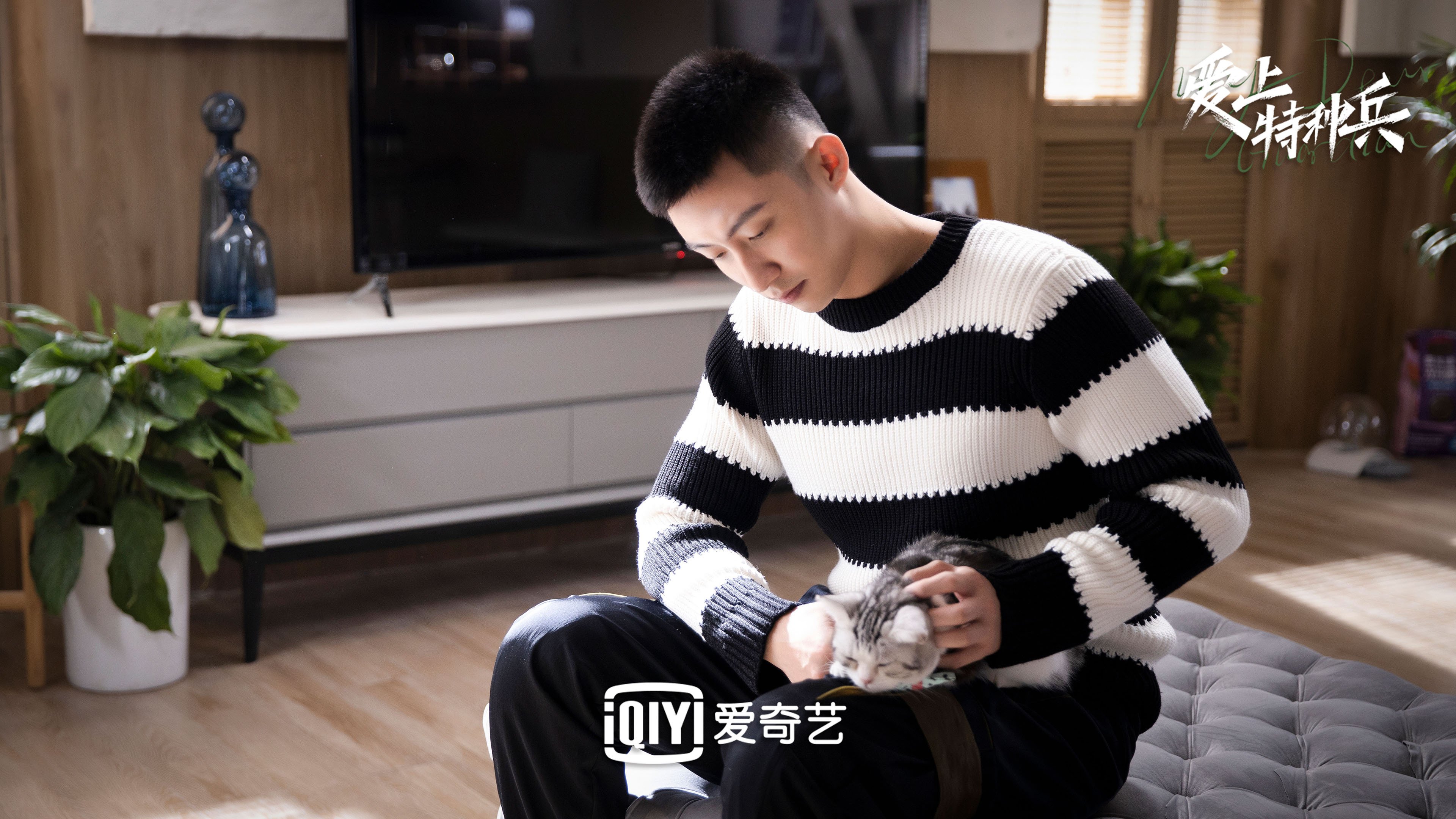 爱上特种兵 黄景瑜 李沁