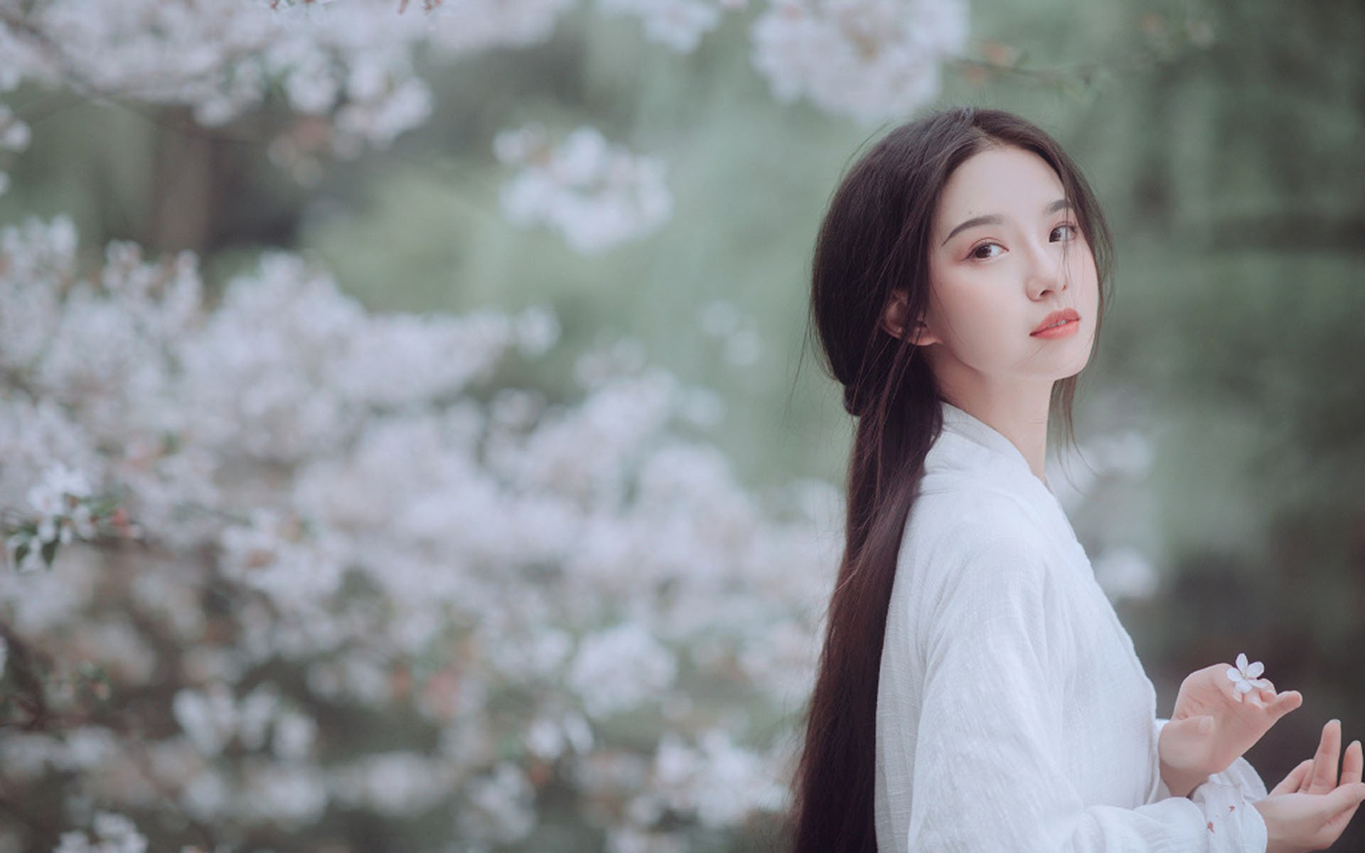 清纯 古风 长发 樱花