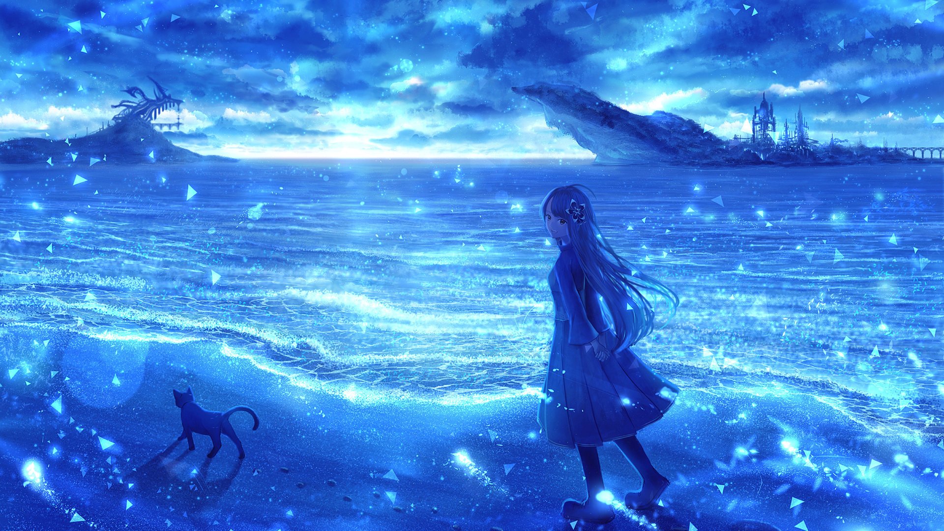 海岸 梦幻 猫咪 海风 海浪