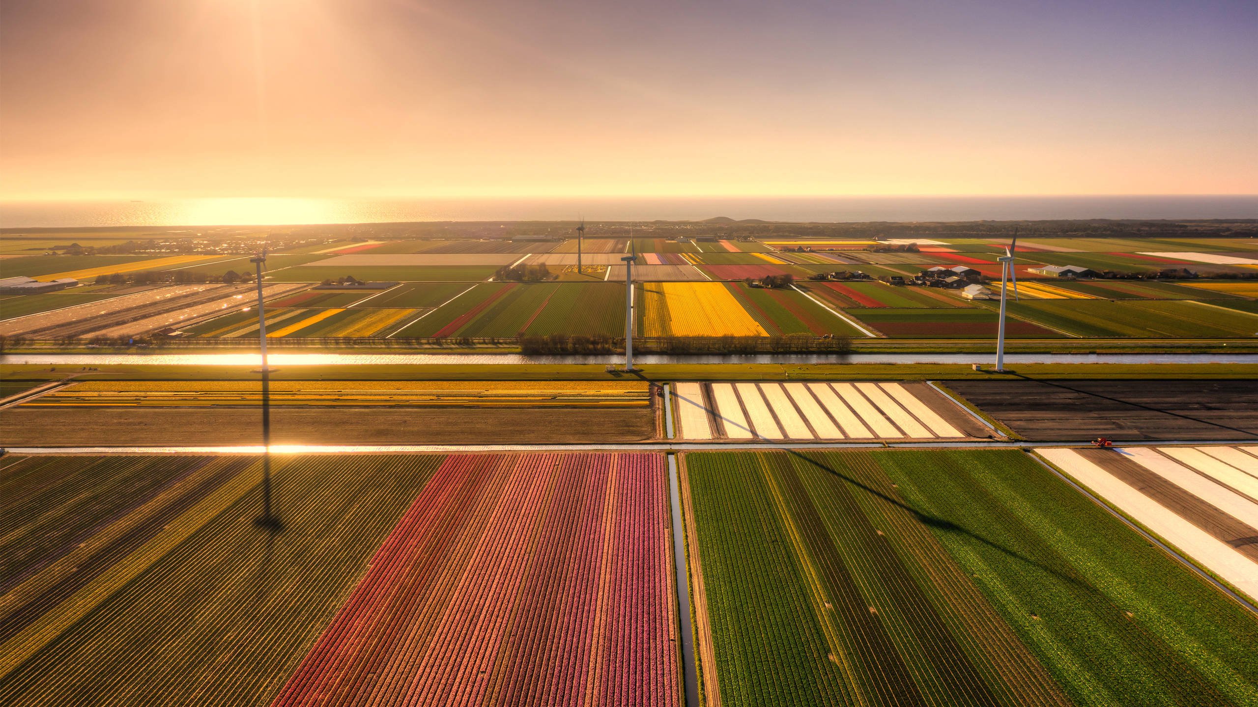 奇幻梦境 农田 五彩斑斓 日出