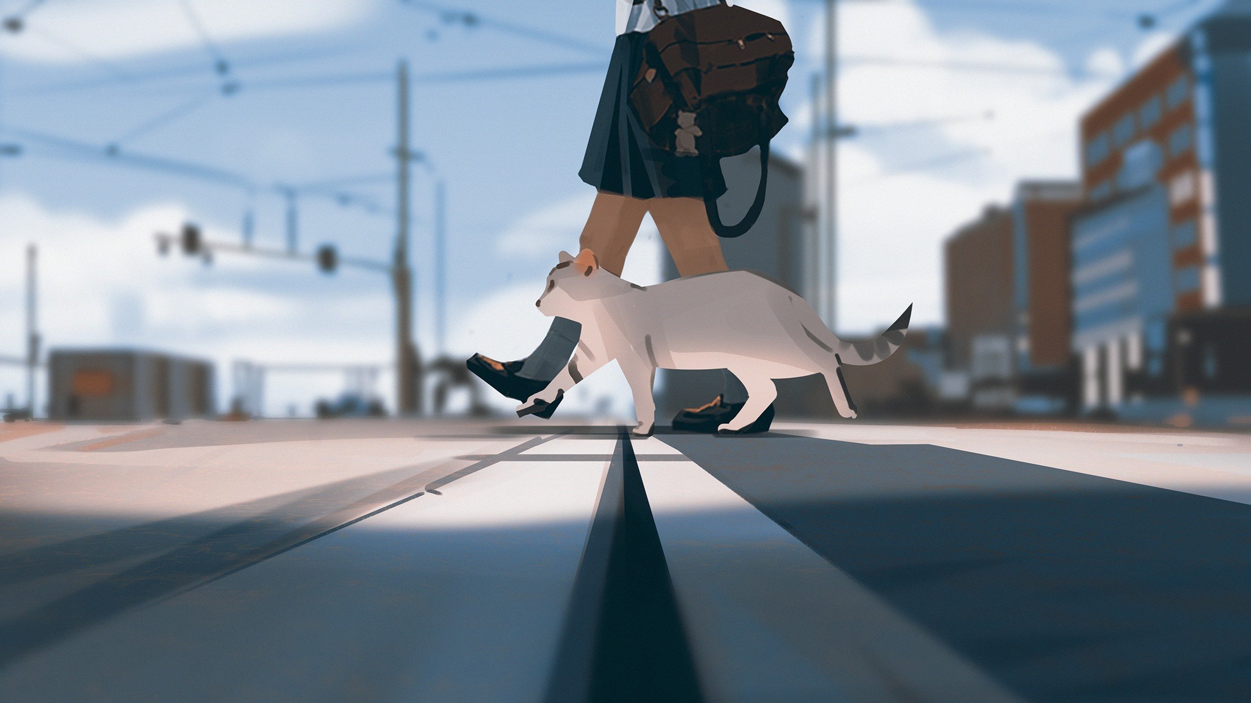 猫咪 书包 斑马线 街道