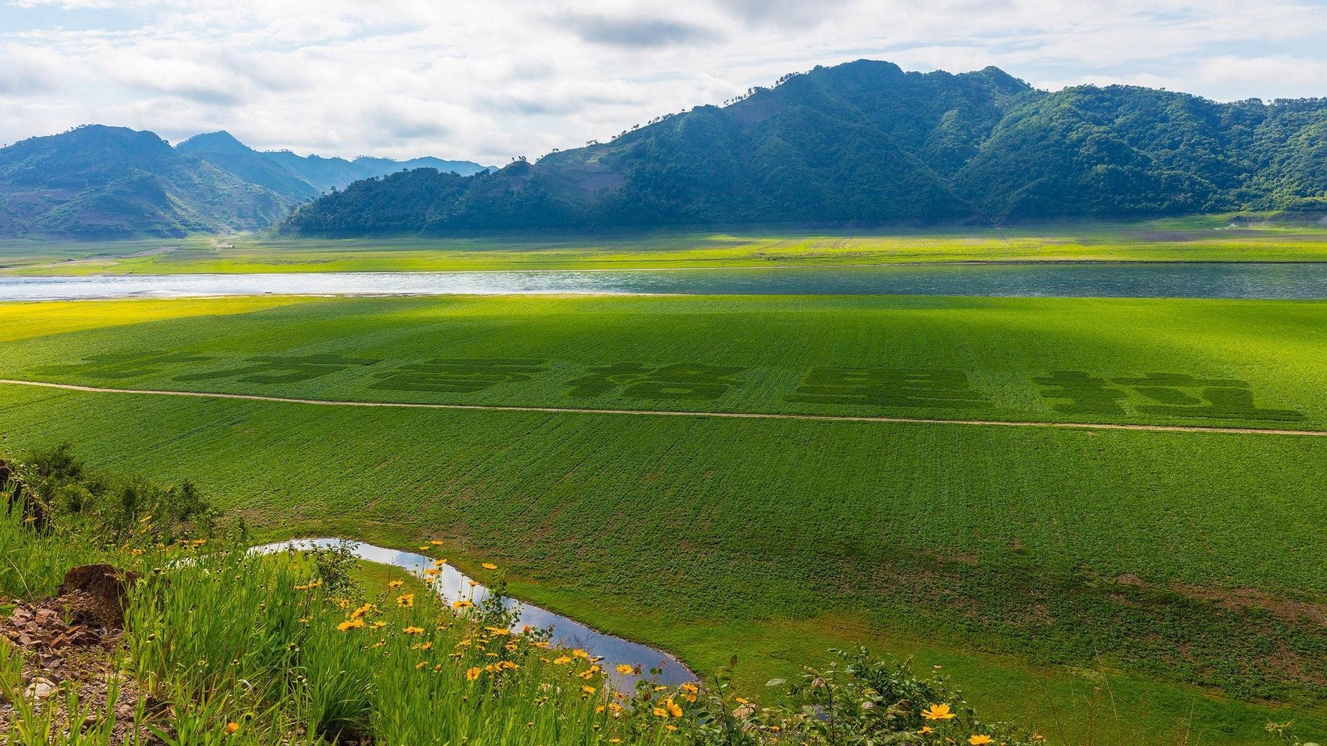 自然风光  辽宁 绿江村  稻田  清新迷人