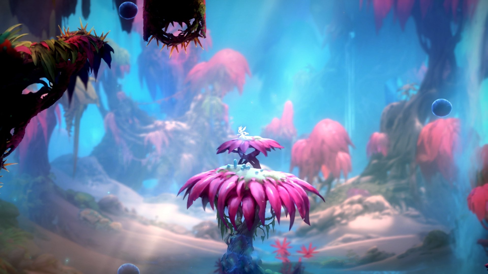 主机游戏 奥日与黑暗森林