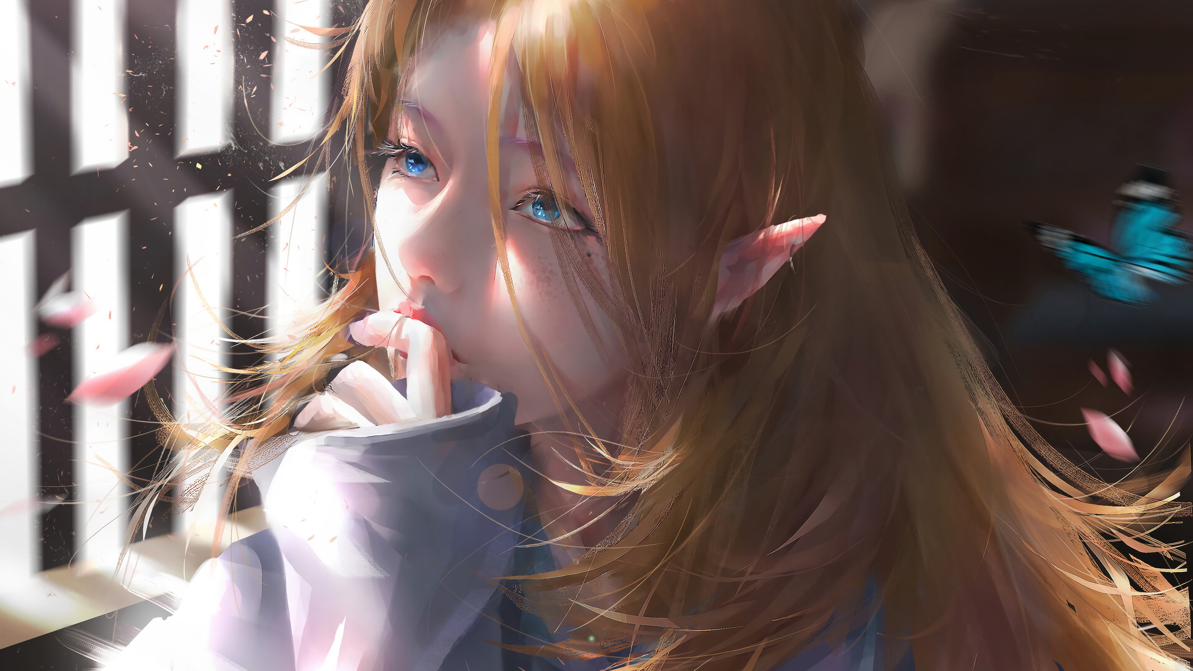 阳光透过窗户 女孩 唯美好看 兽耳 精灵