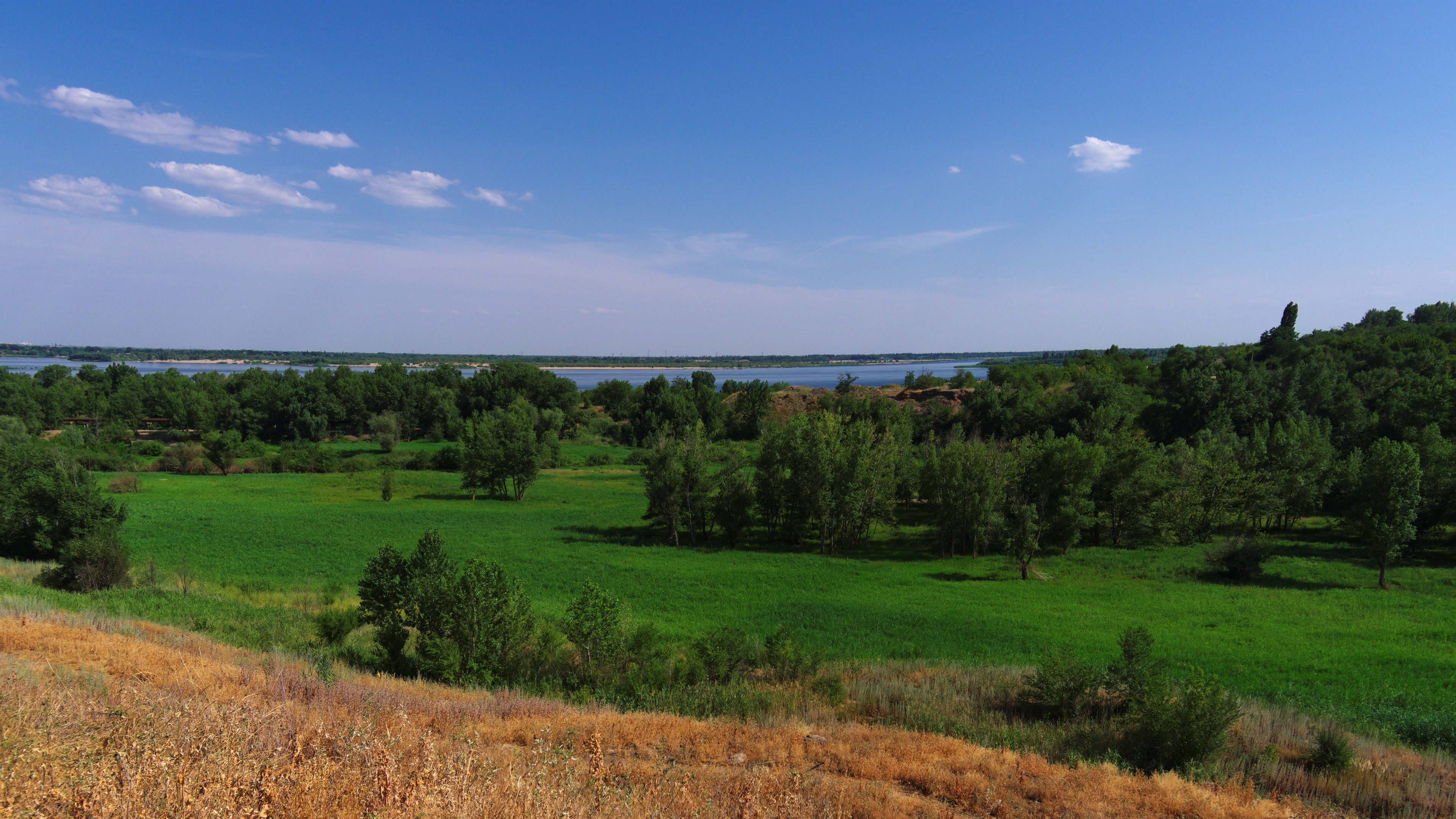 自然风光 草地 草坪 树林 天空