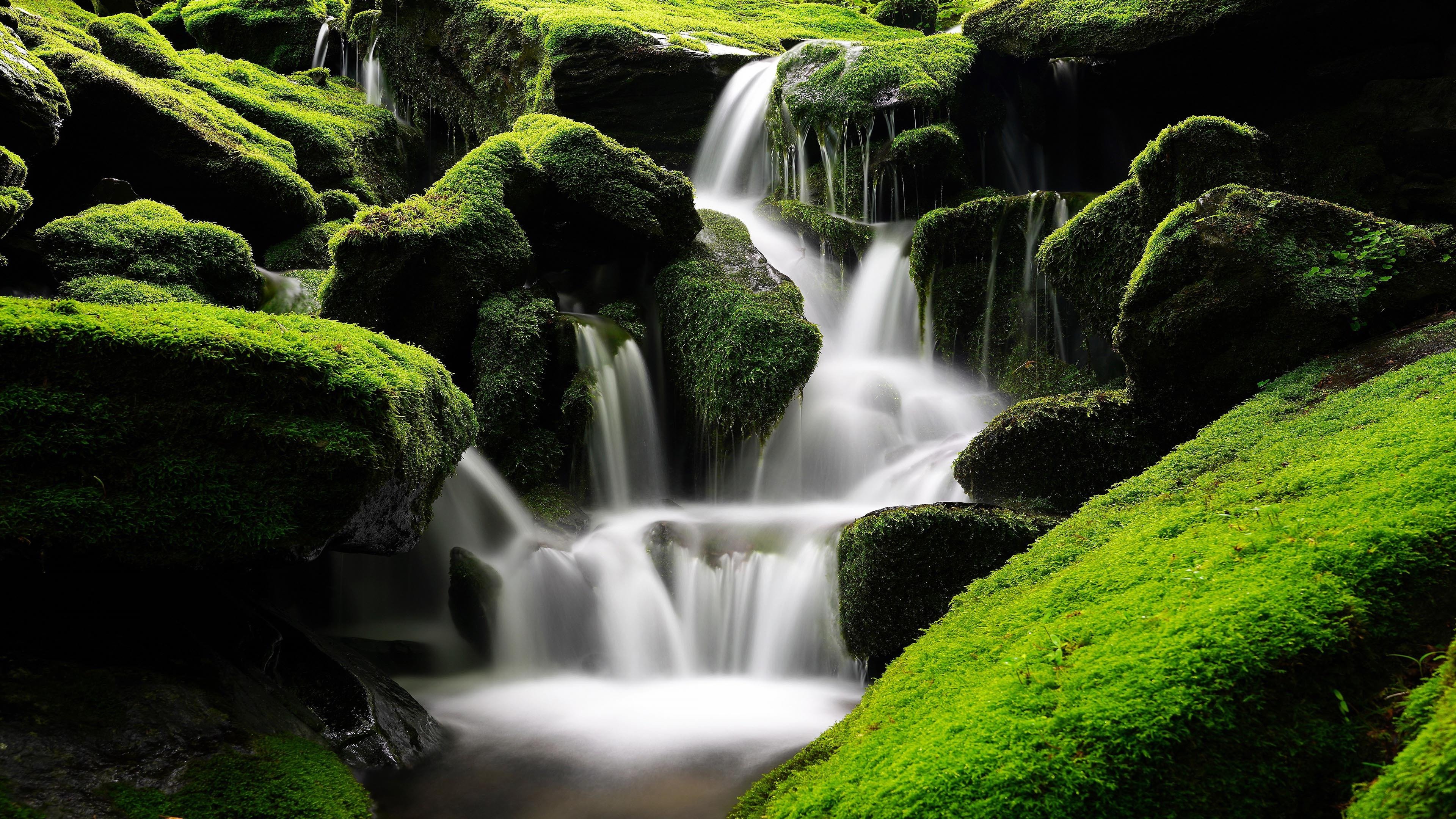 自然风光 青苔 瀑布 溪流