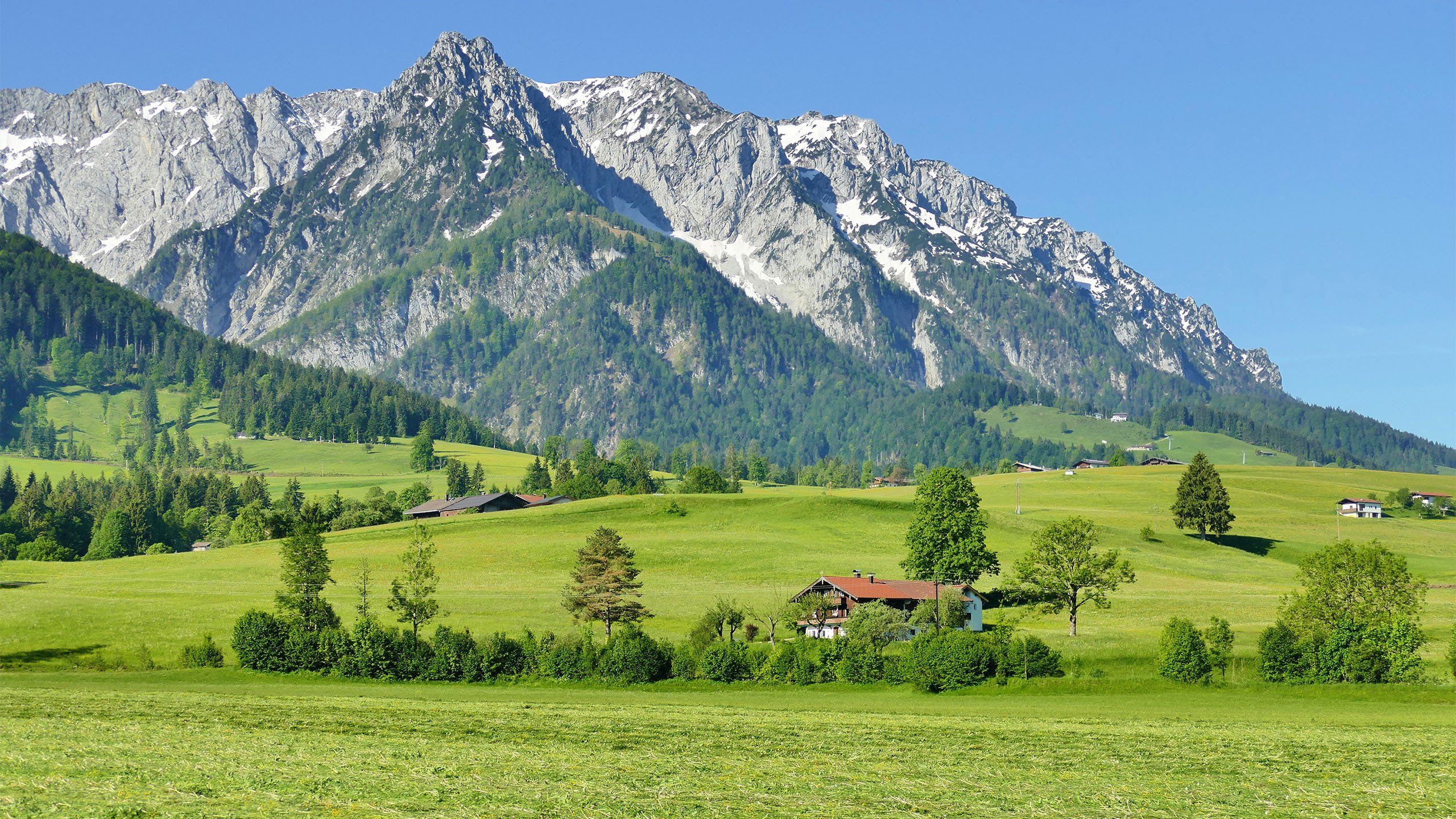 自然风光 草地 草原 山峰 阿尔卑斯