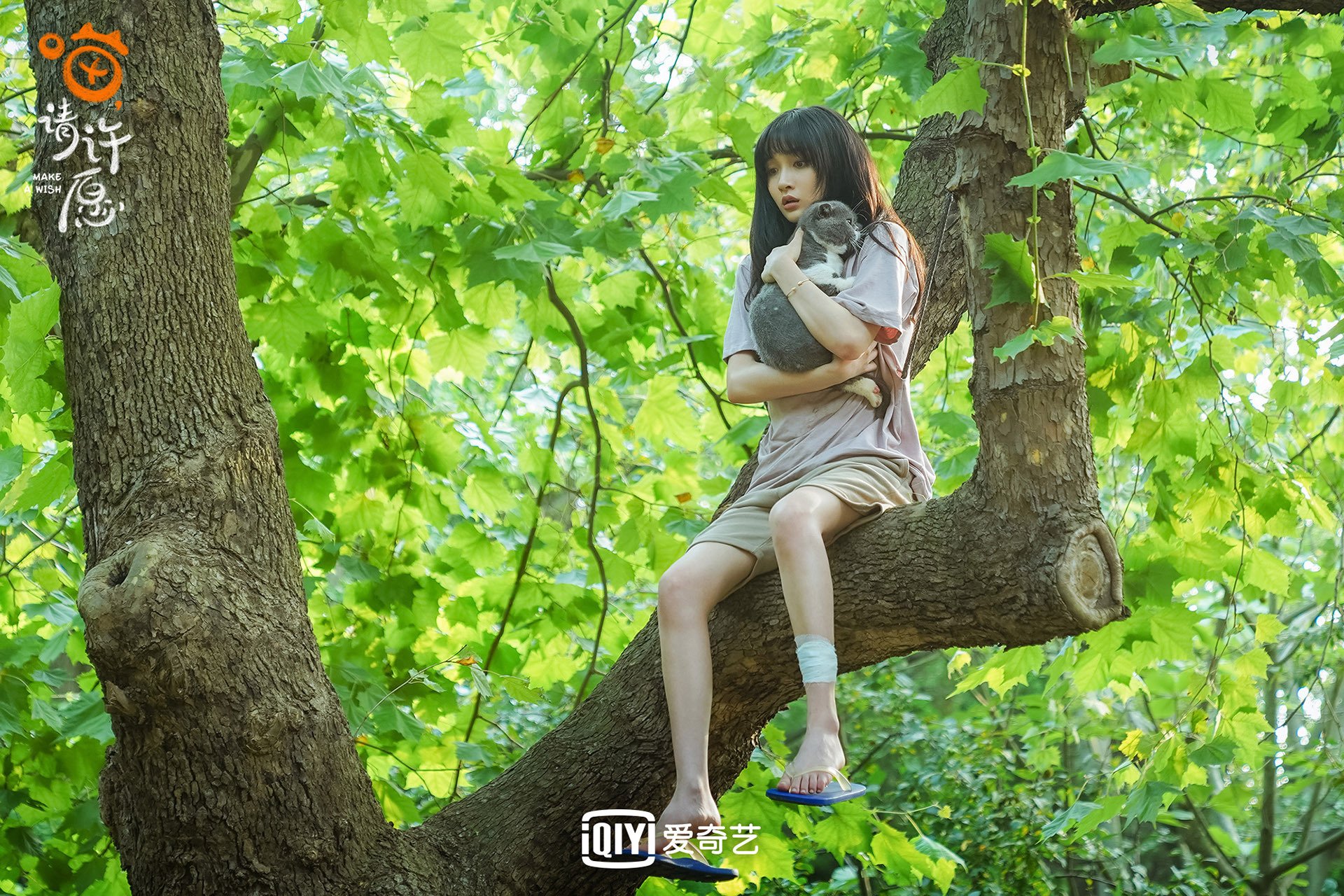 喵请许愿 任宥纶 葛鑫怡