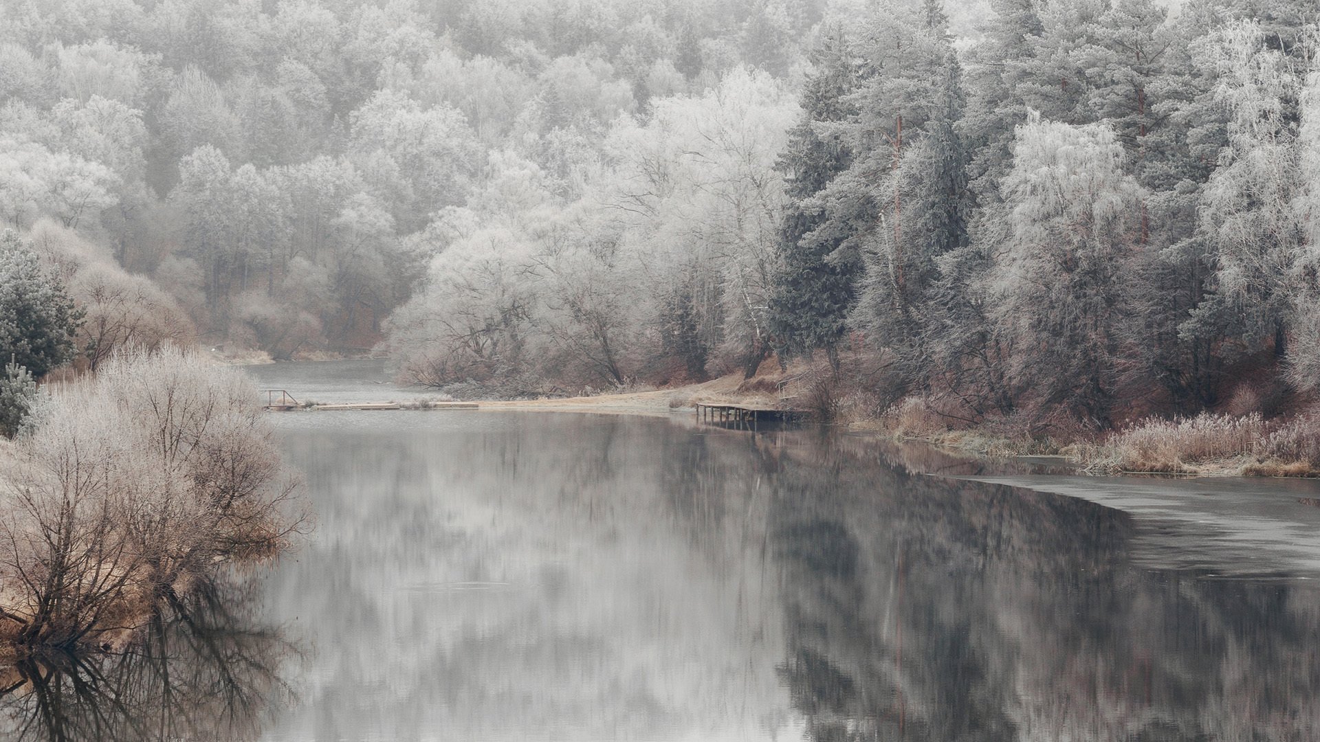 冰天雪地 大江 树林 倒影