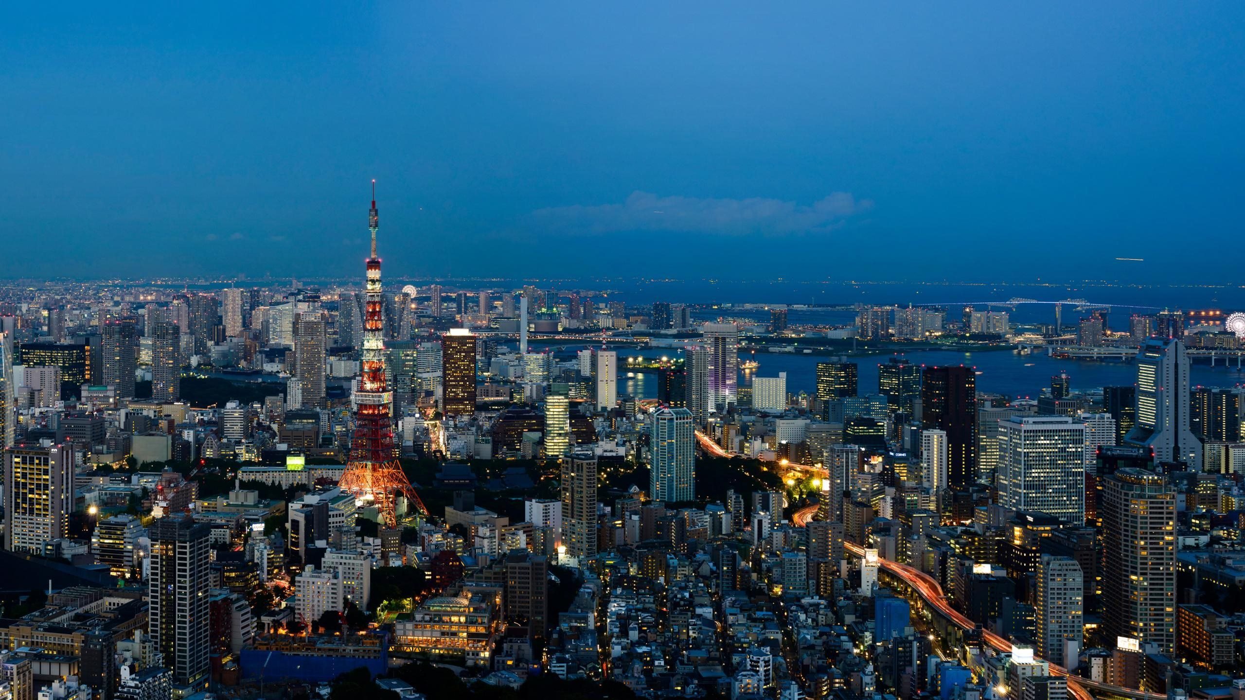 城市夜景 东京 巴黎 傍晚 海滨
