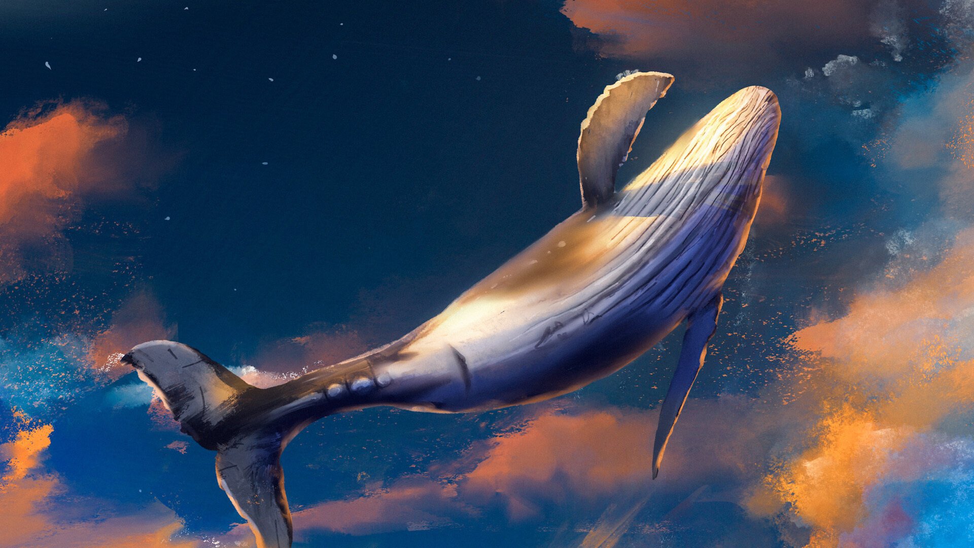 童话 鲸鱼 鲲 飞翔