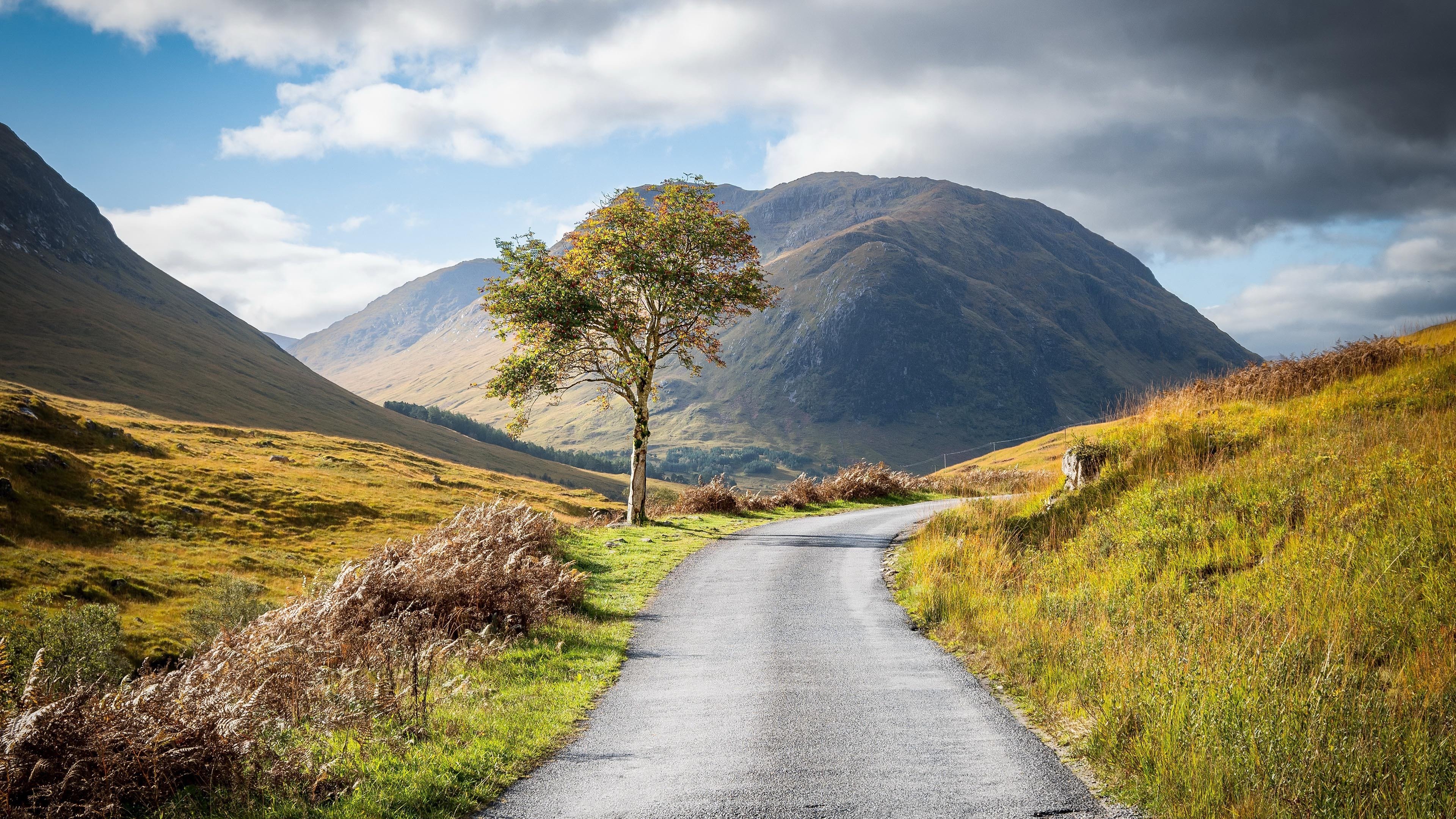 自然风光 山路 光秃秃 小树