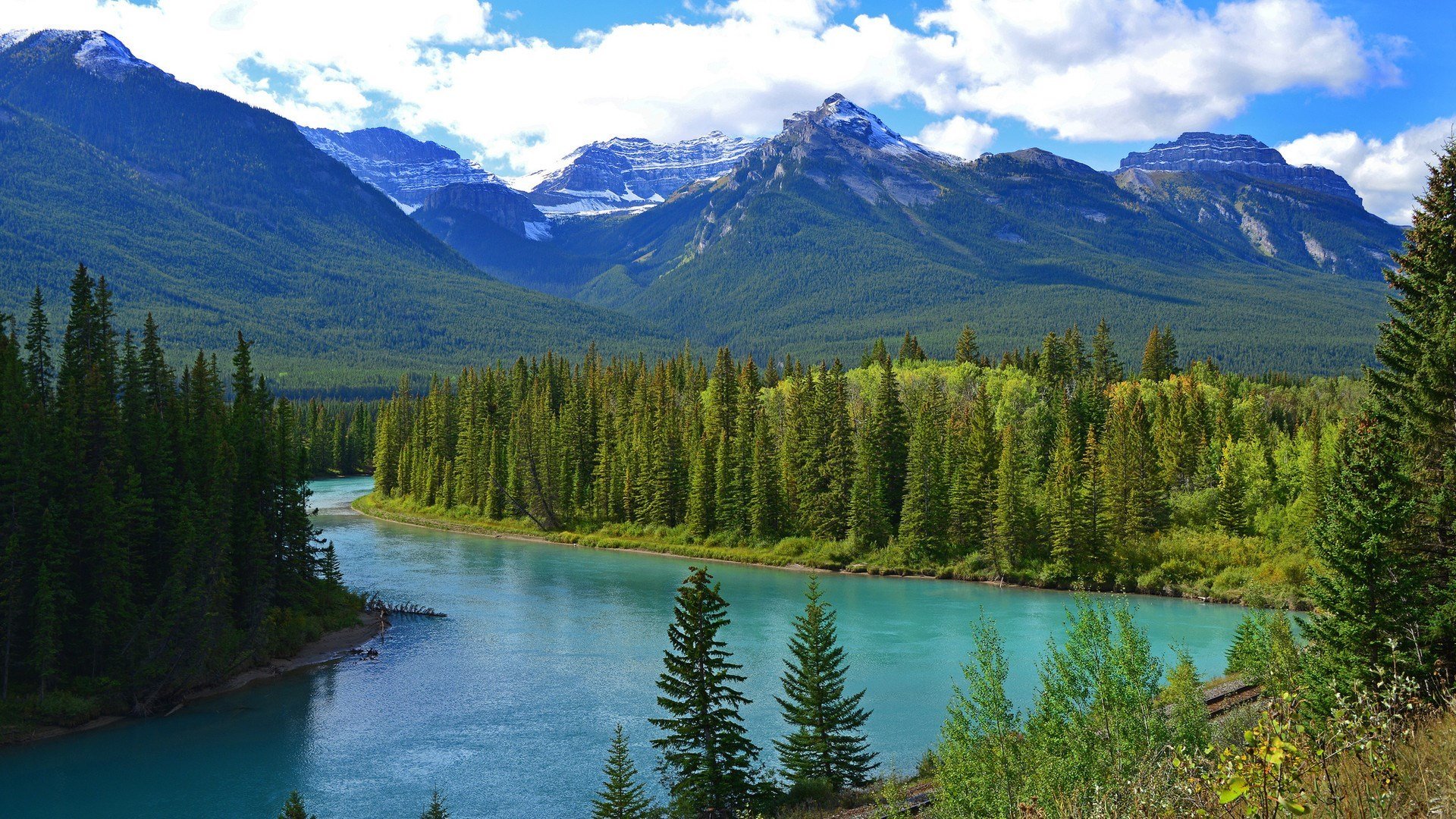 自然风光 树林 江河 雪山 自然公园